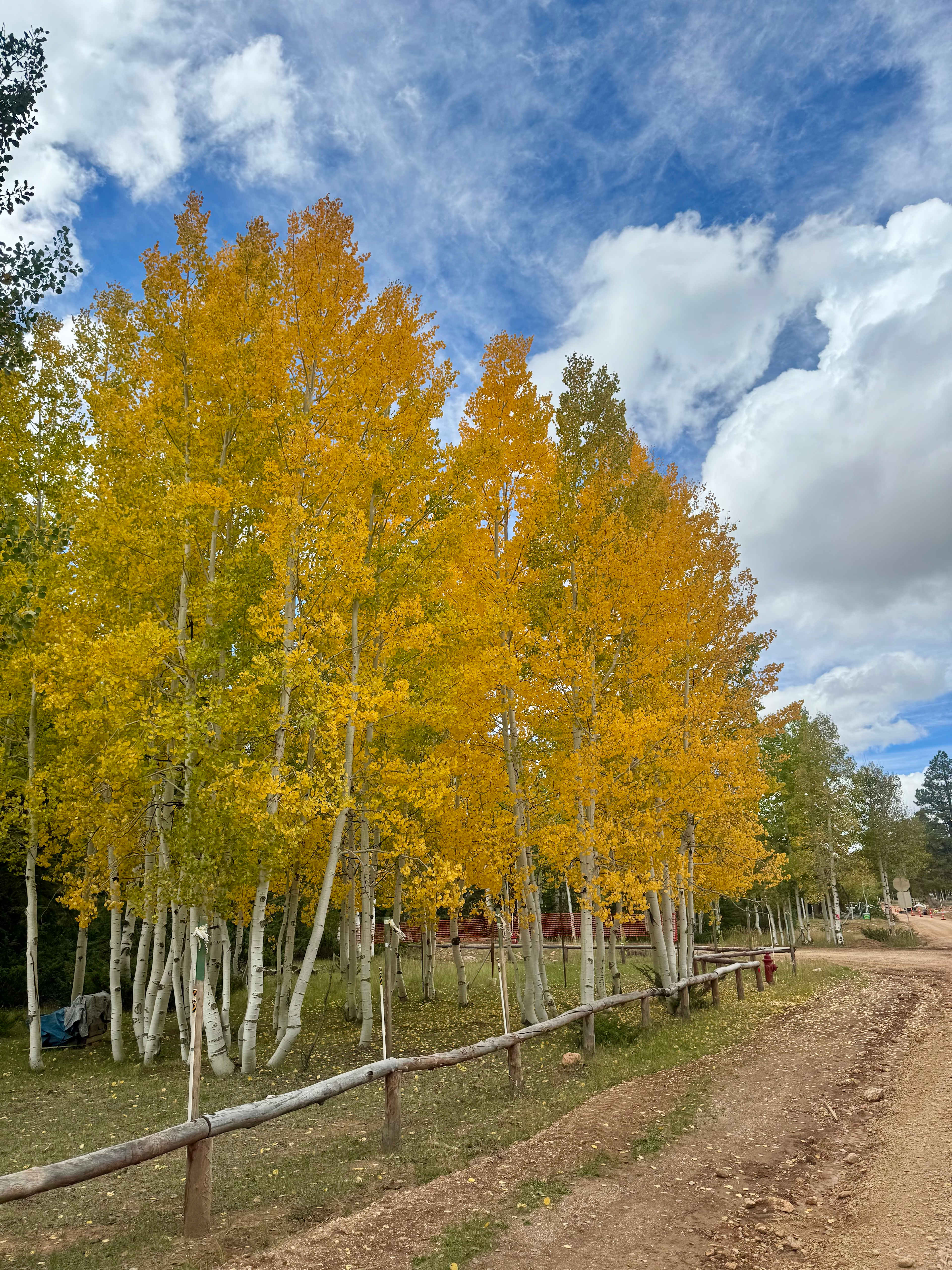 Strawberry Point Retreat