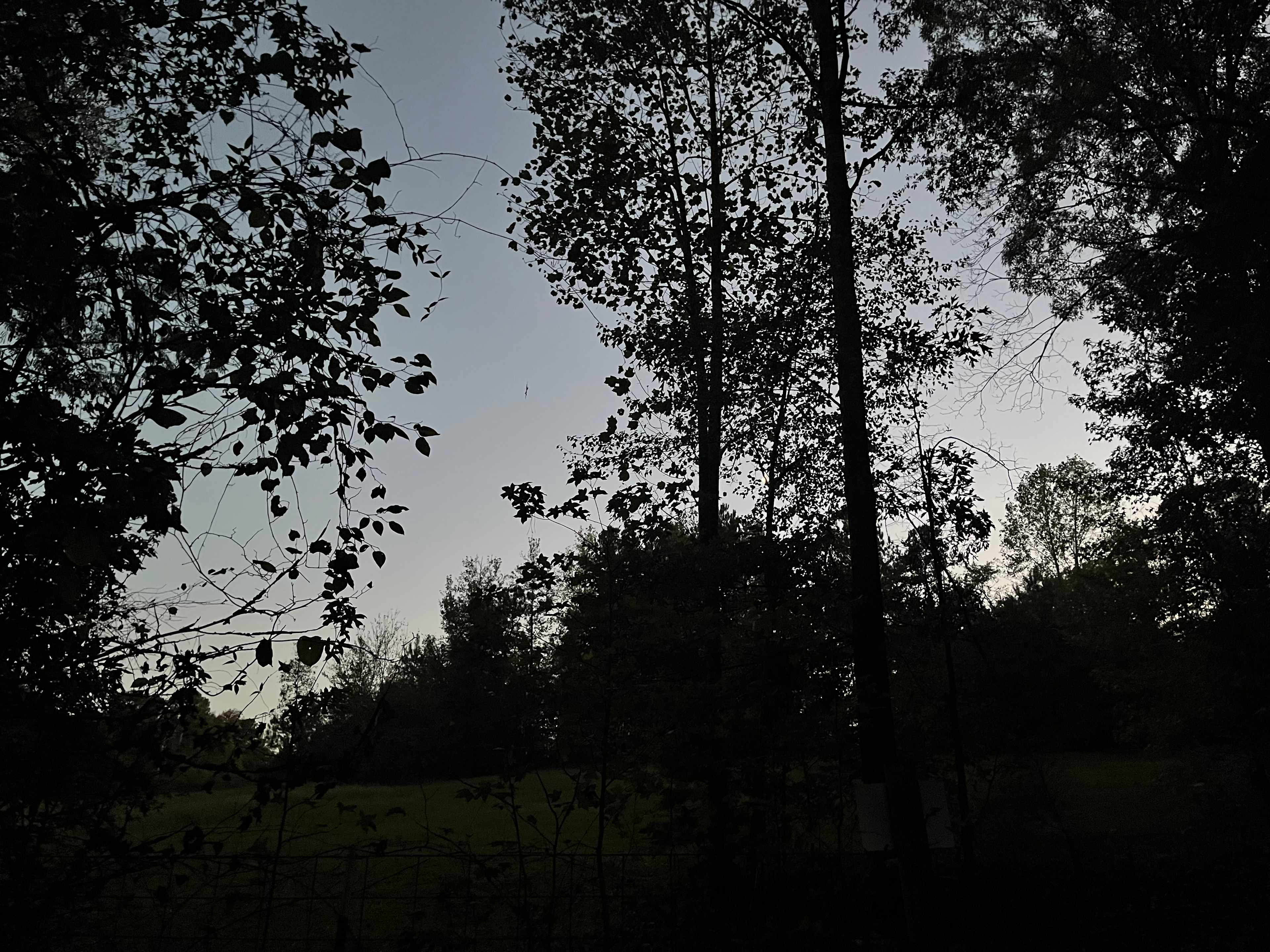 Argo’s Park & Trails