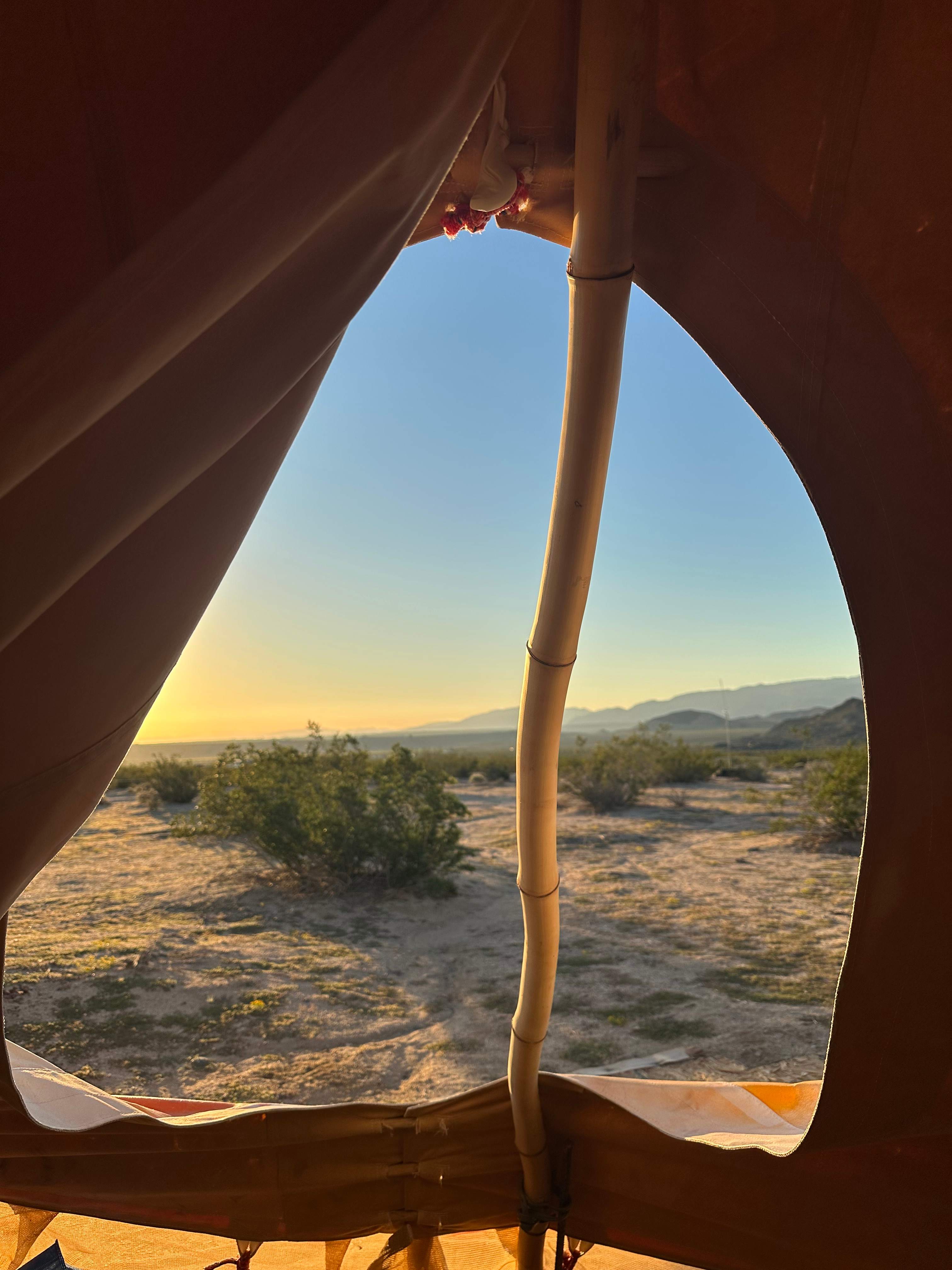 Our morning view 