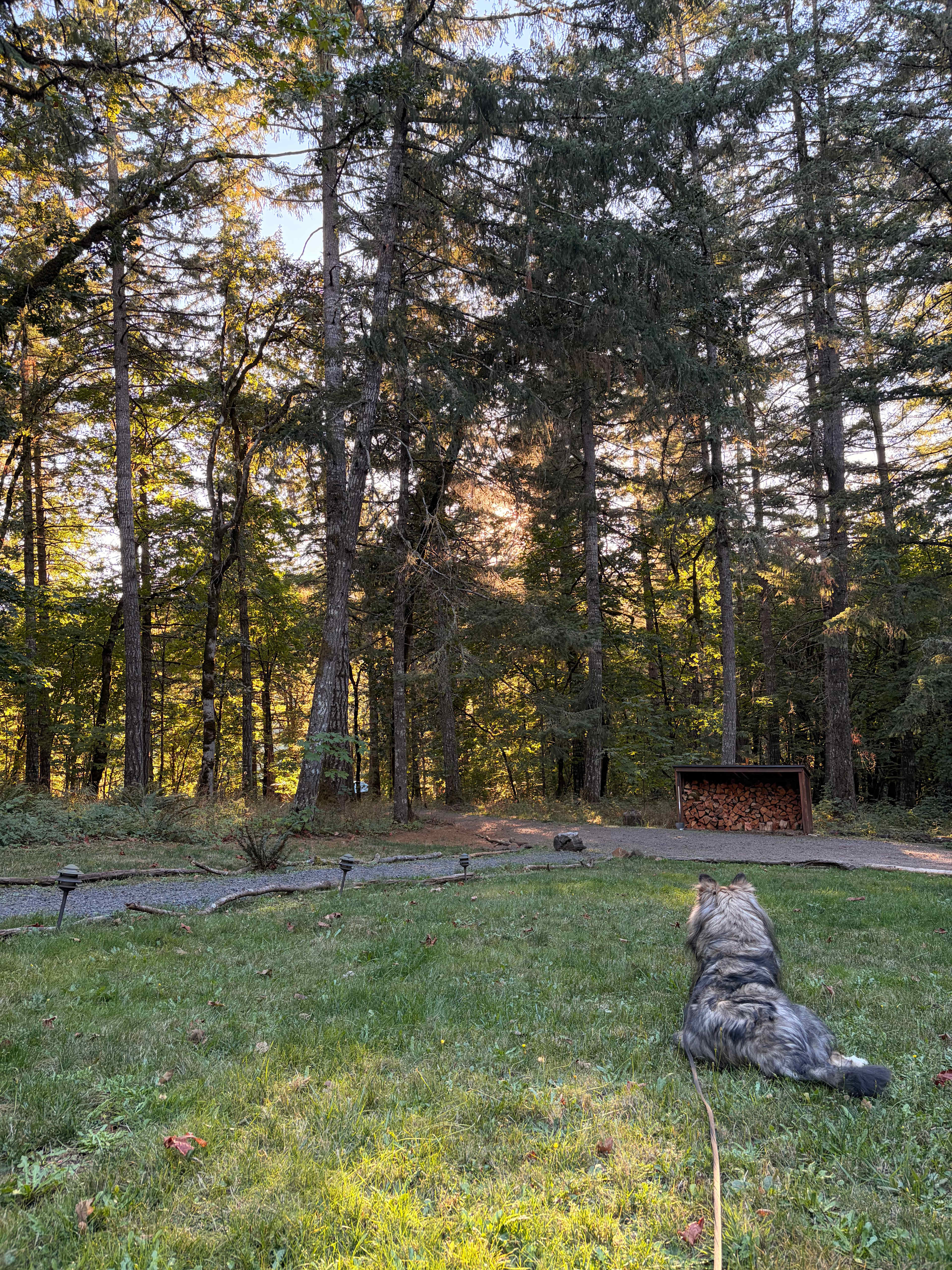 Our dog loved the serene atmosphere 