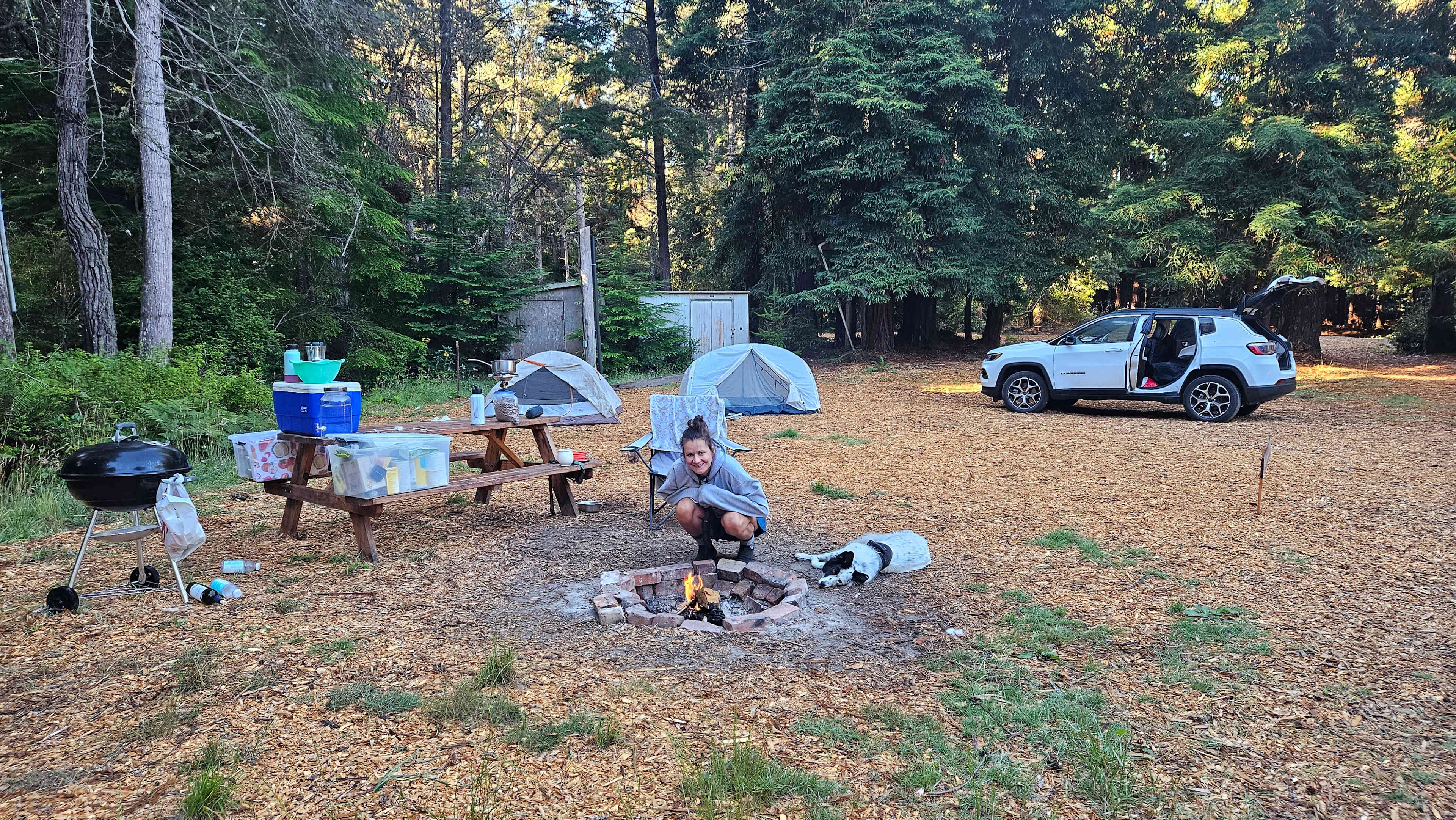 Emerald Triangle Campsite