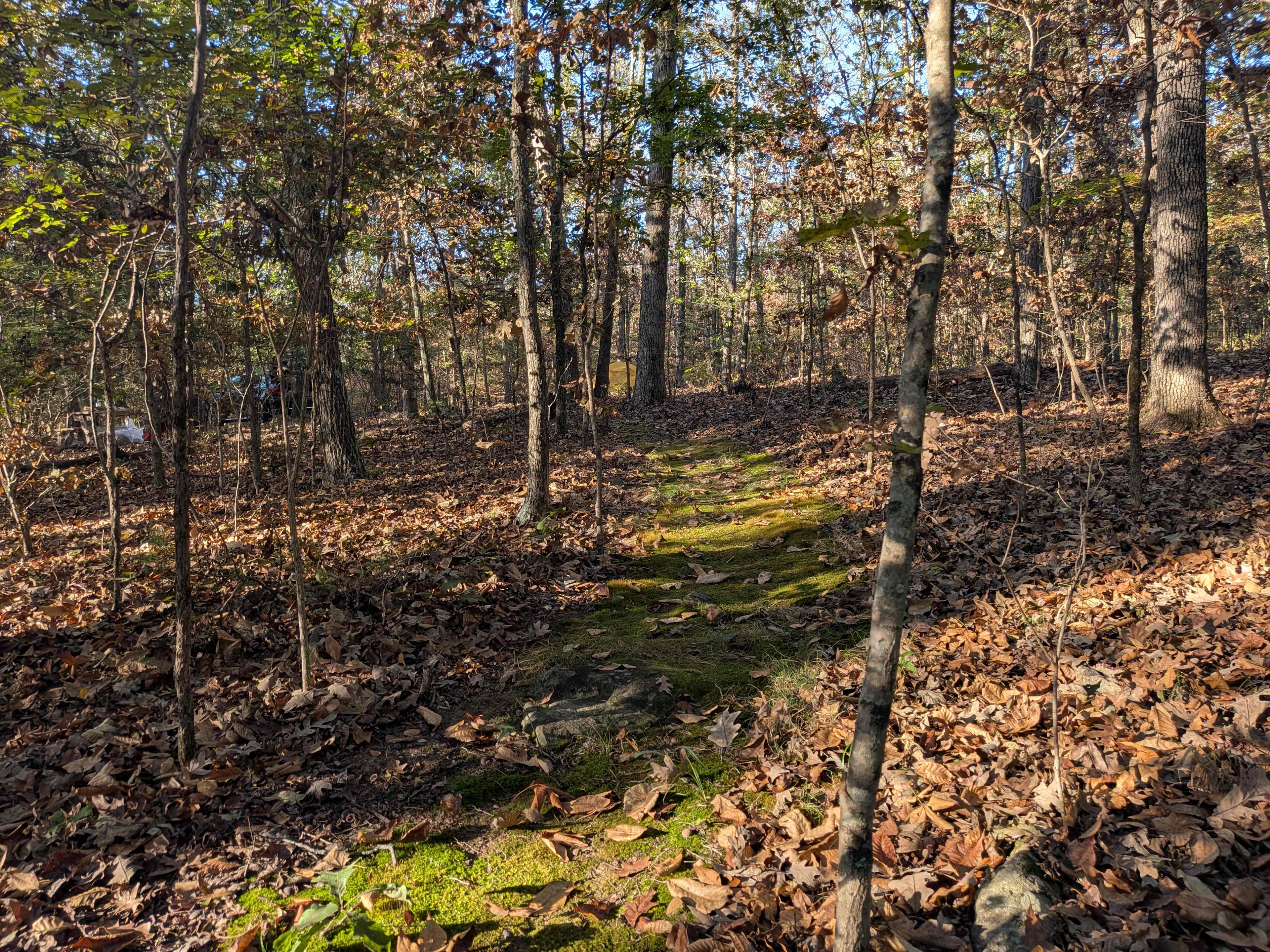Pathway to the campsite.