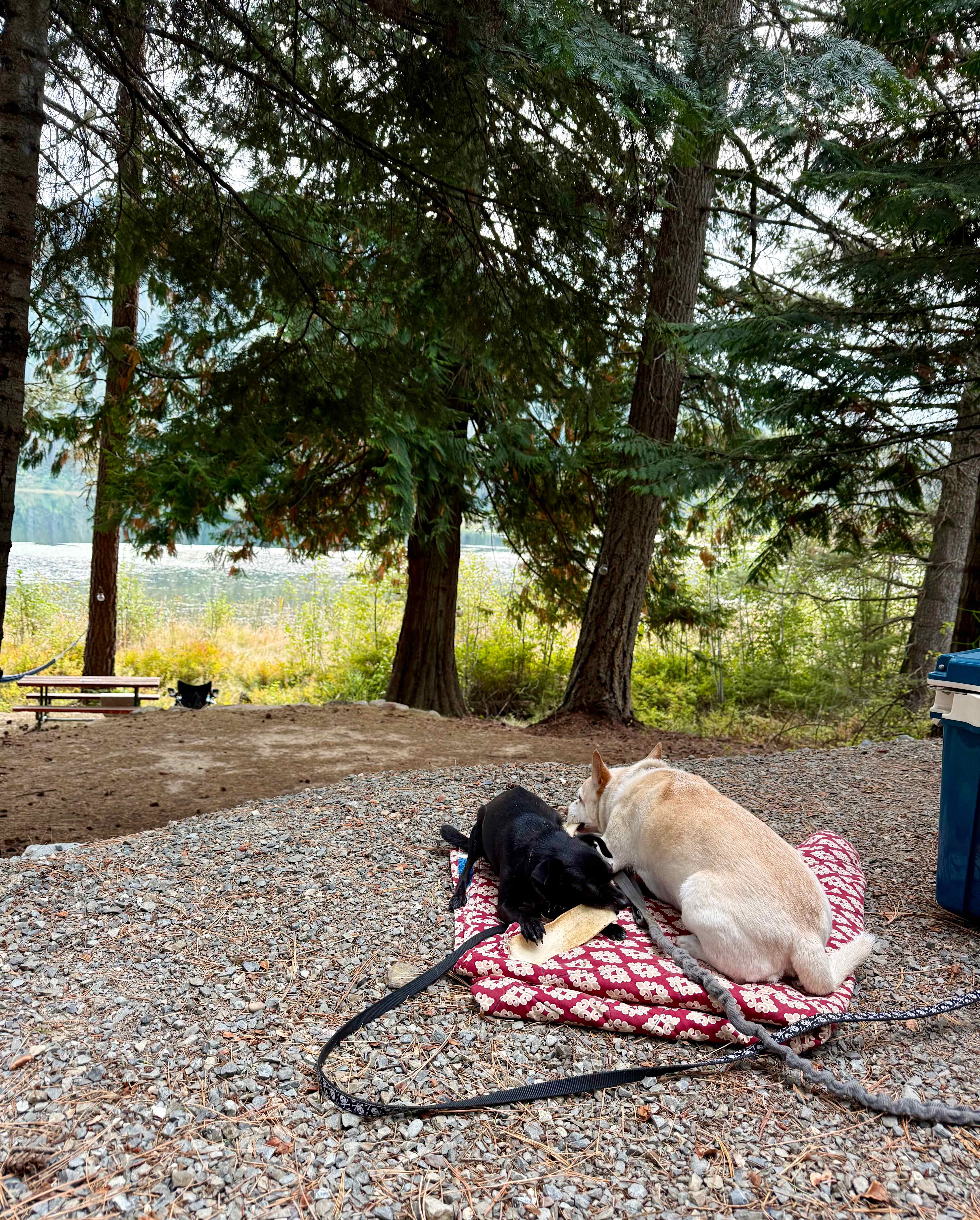 Paradise on Mirror Lake