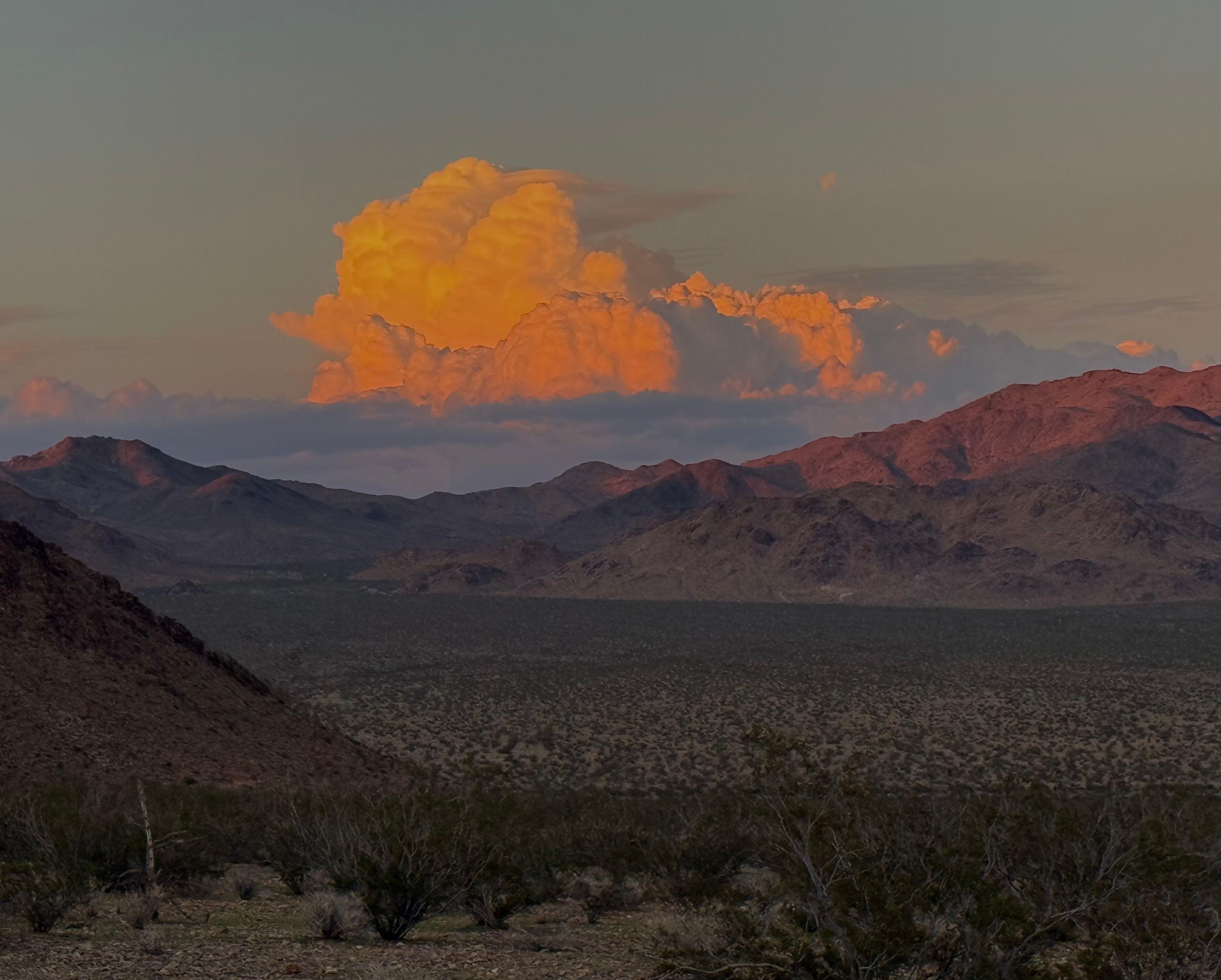 Mojave Moonlight Camping