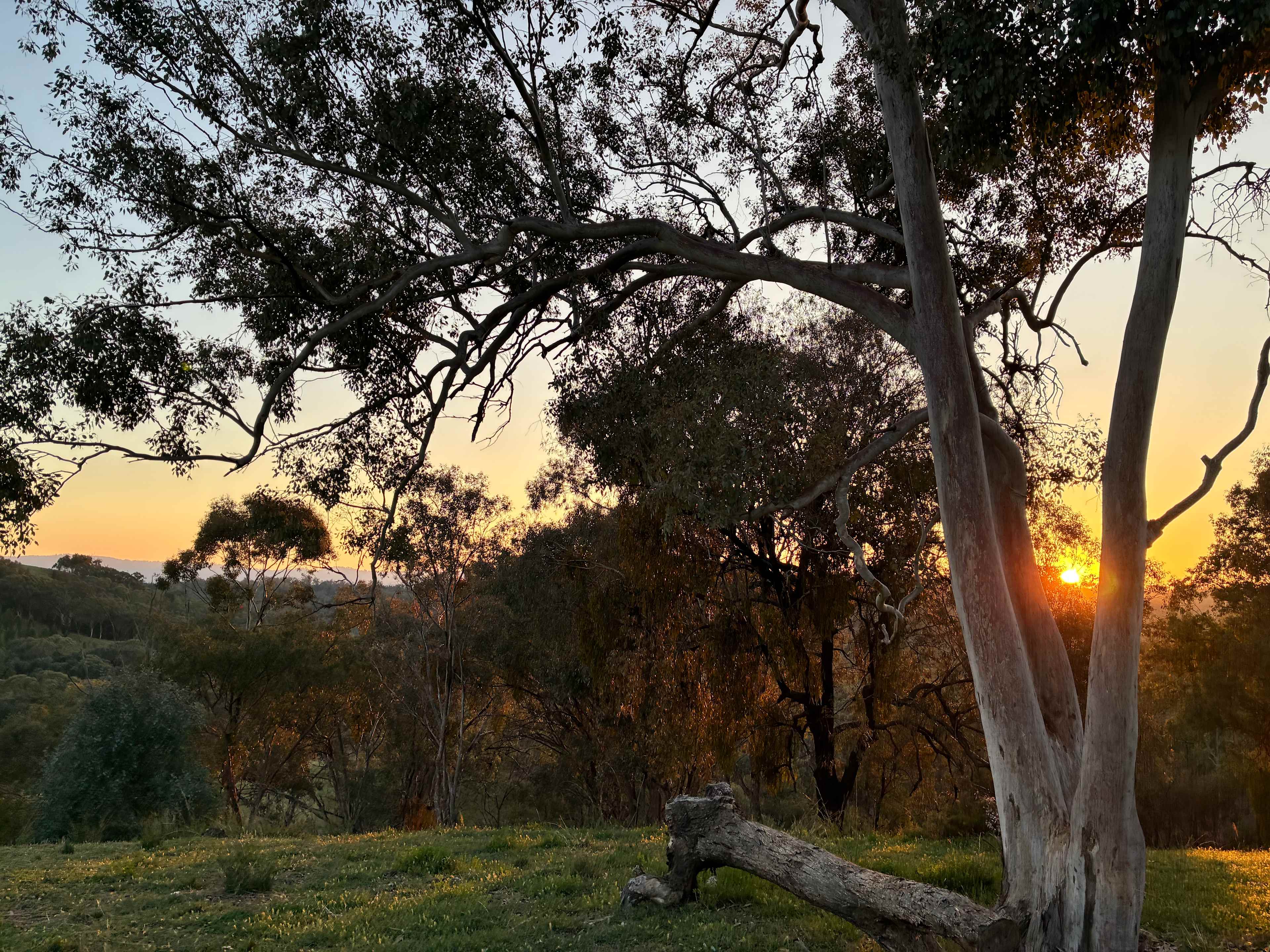 The Stockyard Experience