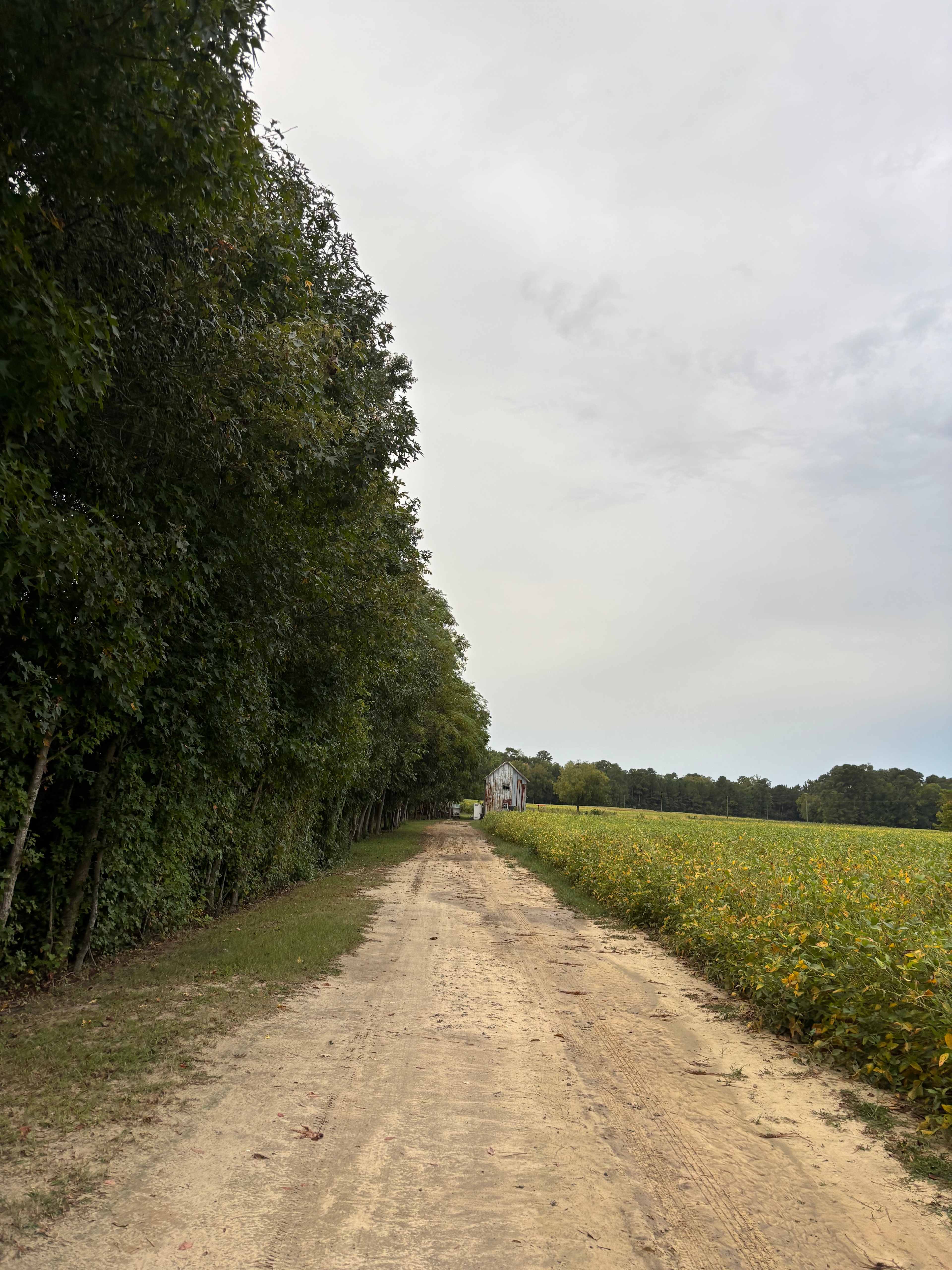 Spruill Conservation Farm