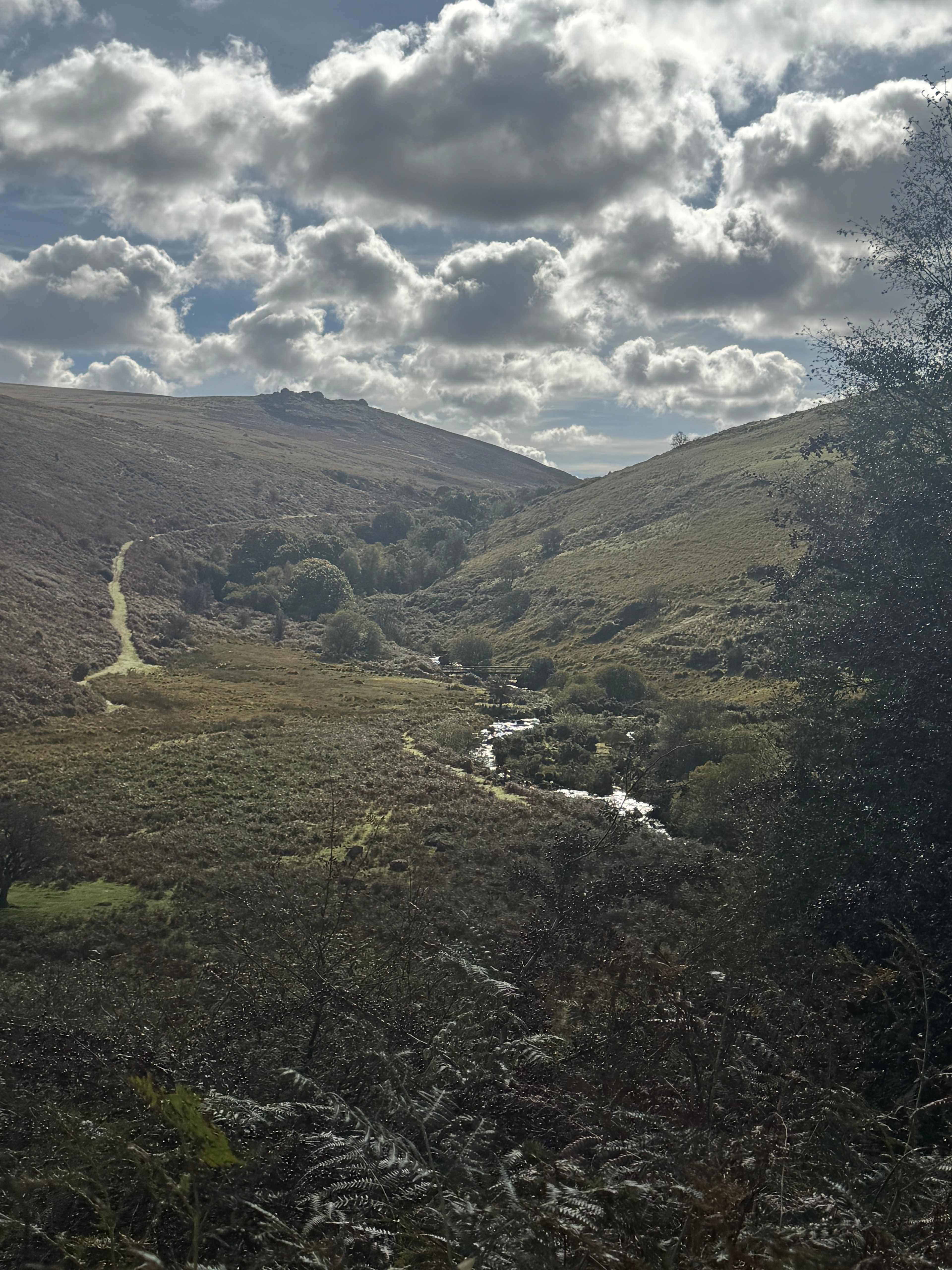 Meldon Lake and Woods Wild Camping