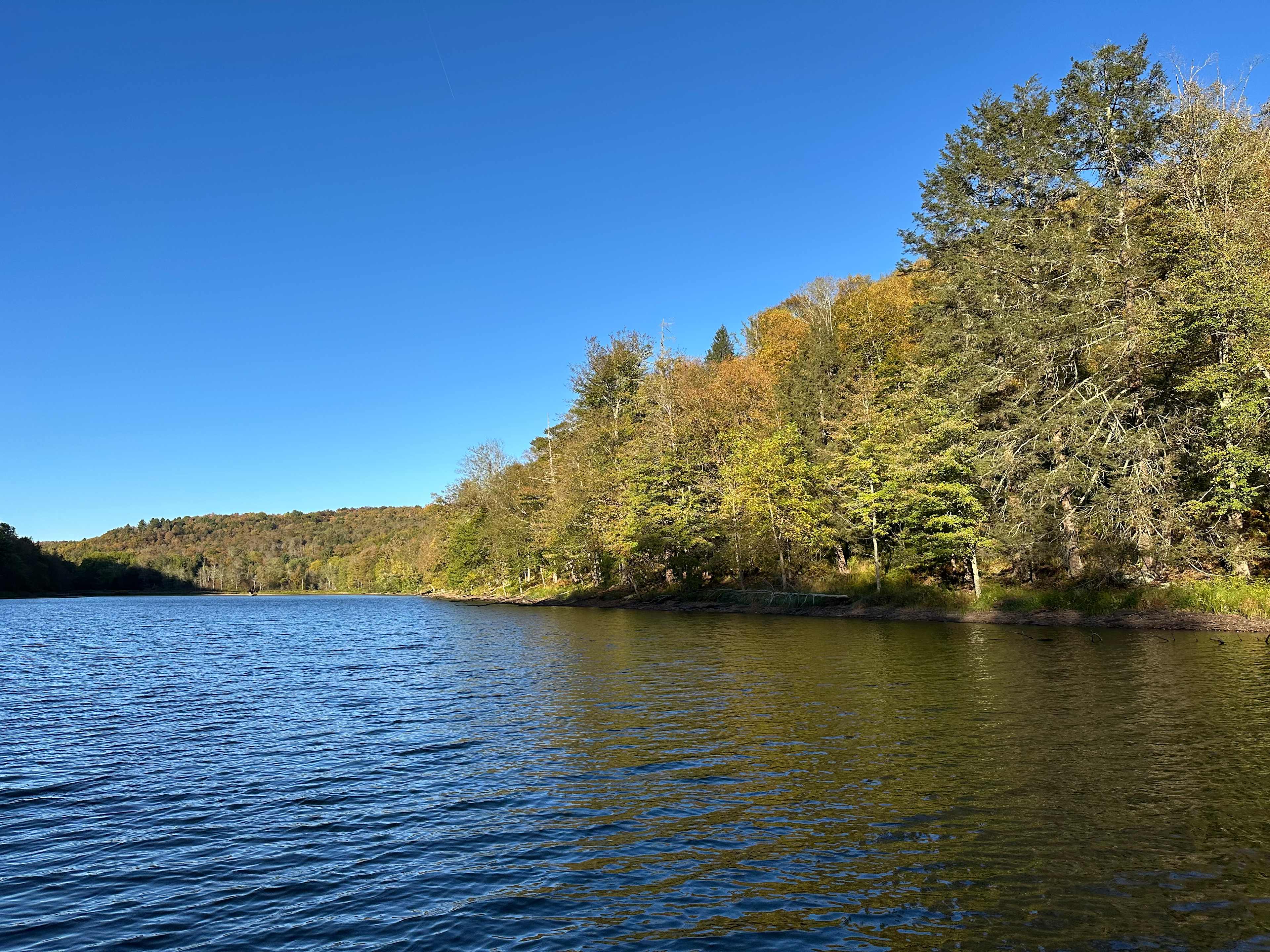 Beautiful view all day every day!