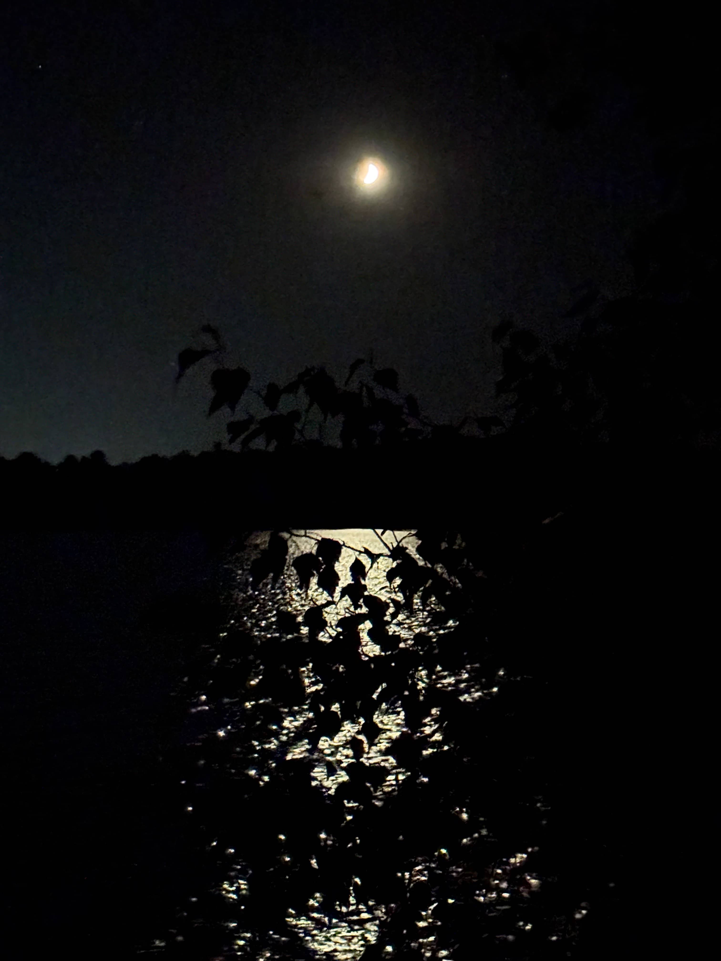 Slippery Rock Trails LLC