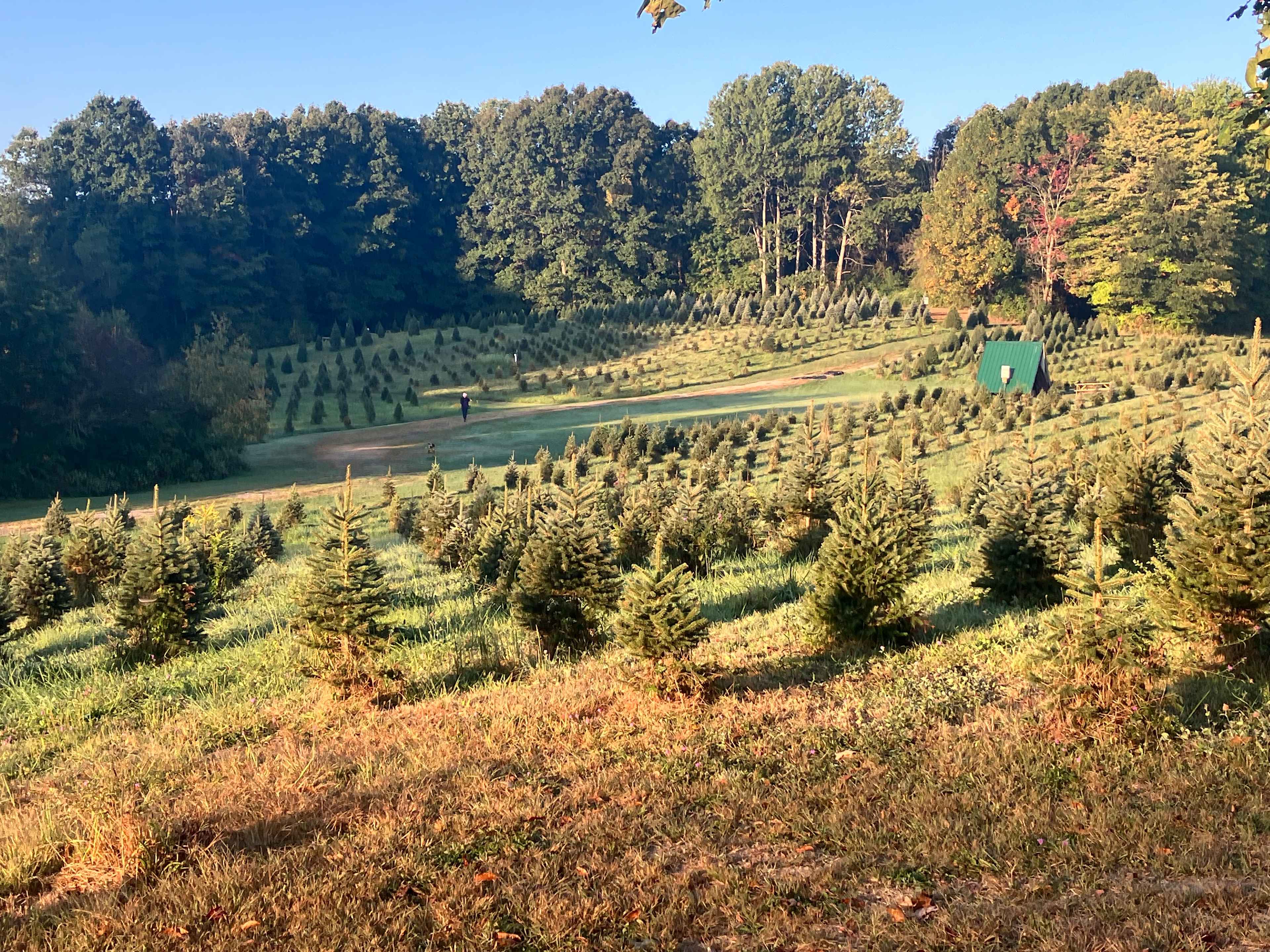 Camping at Heritage Farms