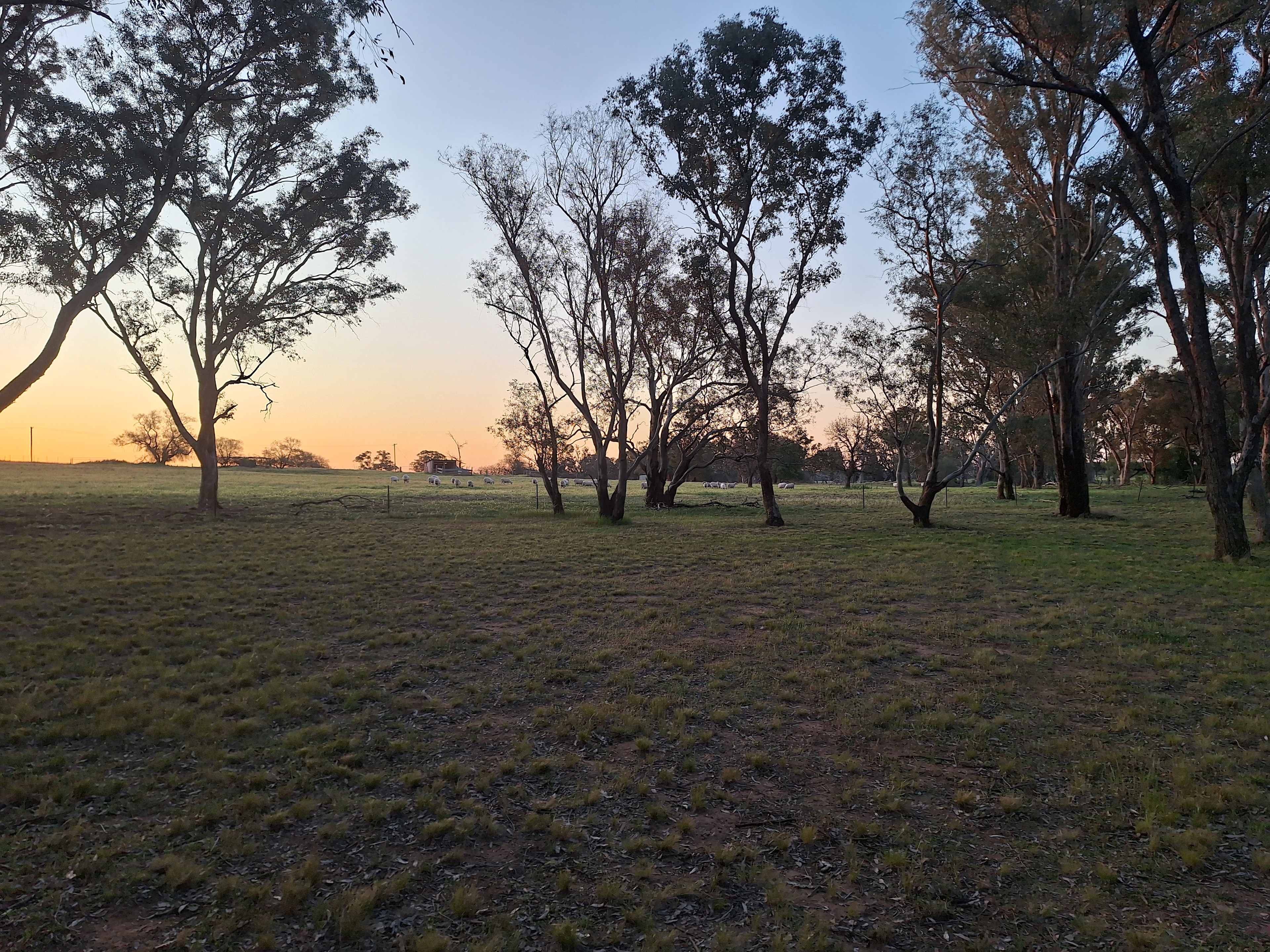 Burrill Creek Camping