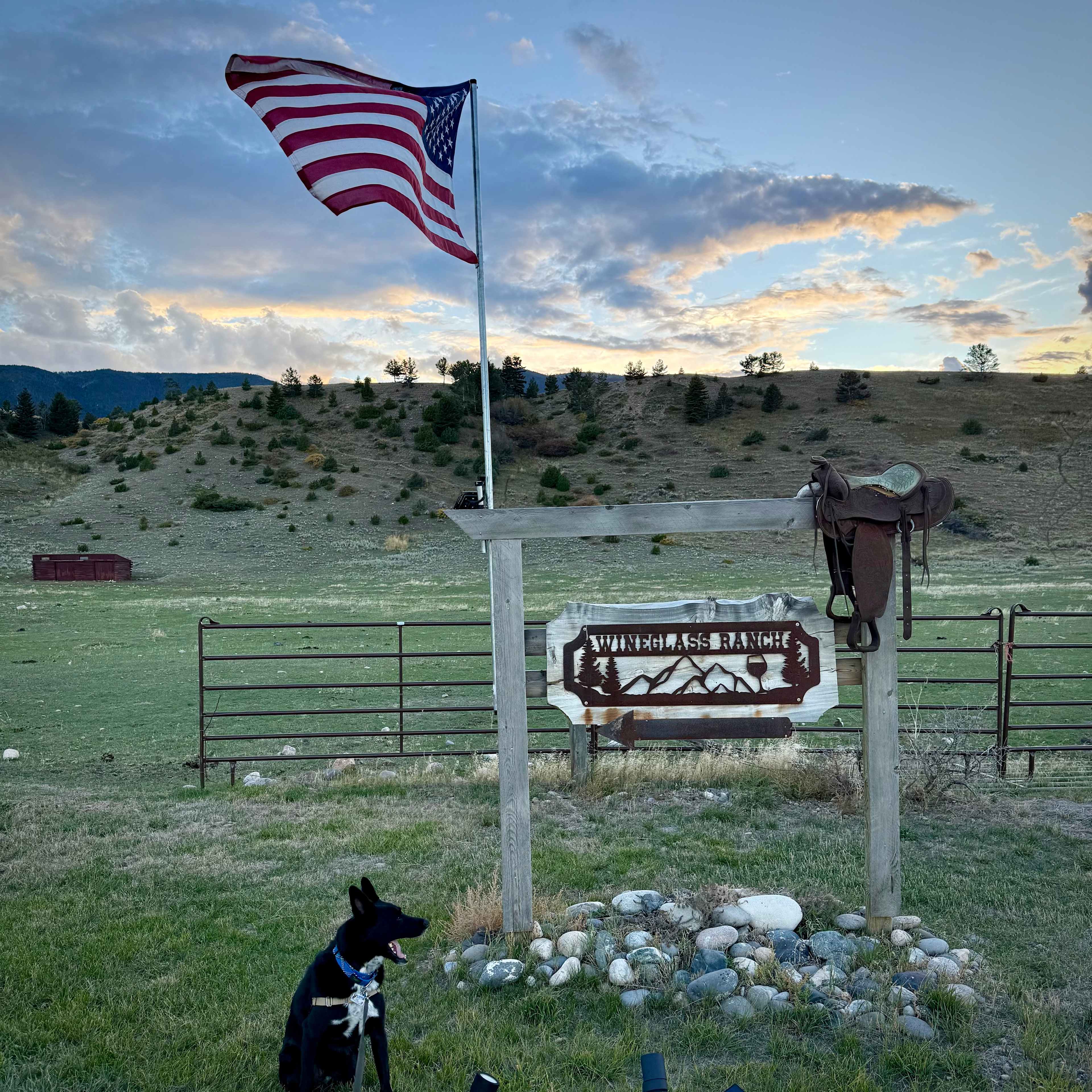 Plenty of room to walk the pooch (long leash)