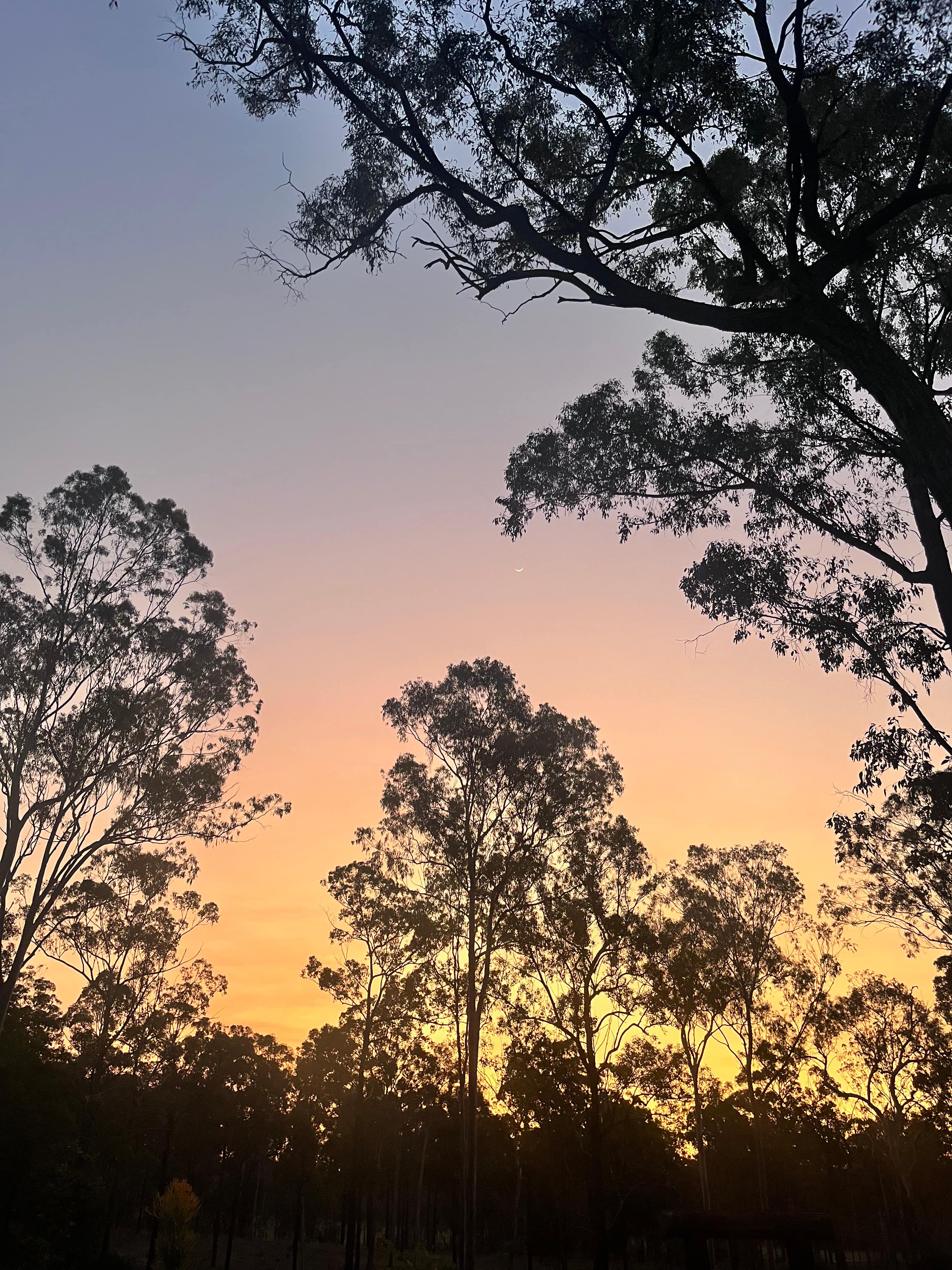 Peaceful Bush Camp-Wrinkles