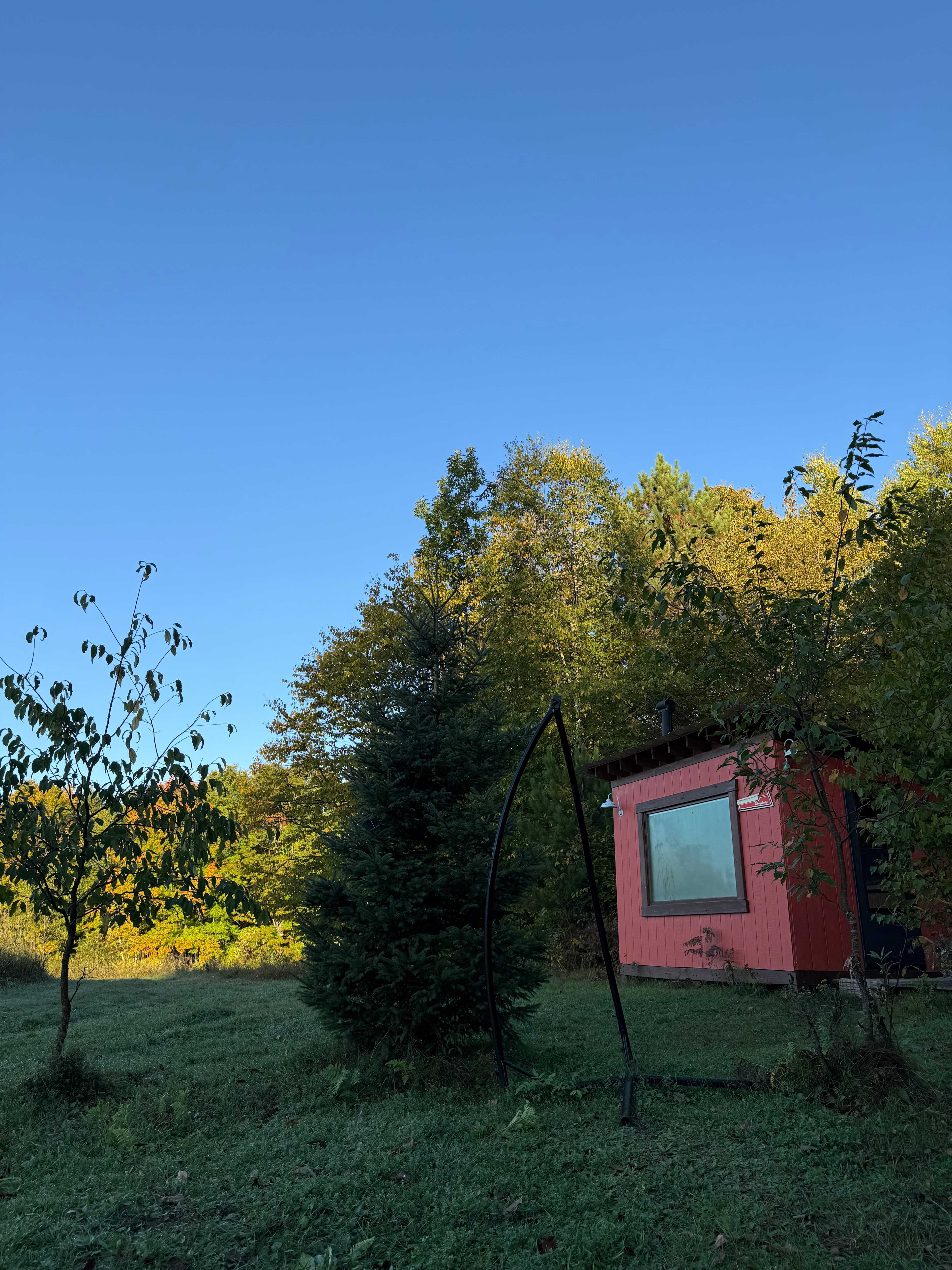 Simplicity @Top Of The Hill Huskies