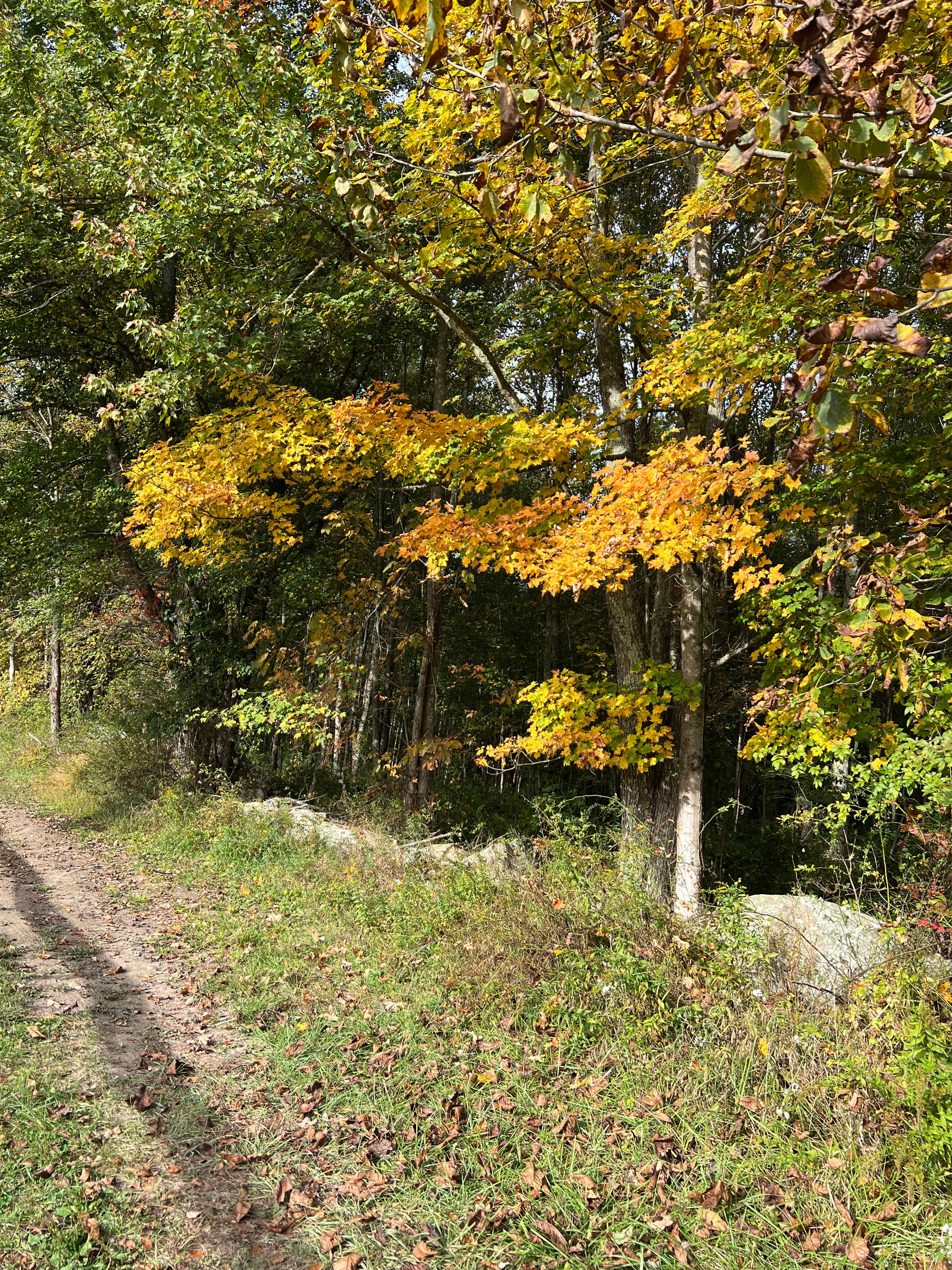 Campsites at Stonewall