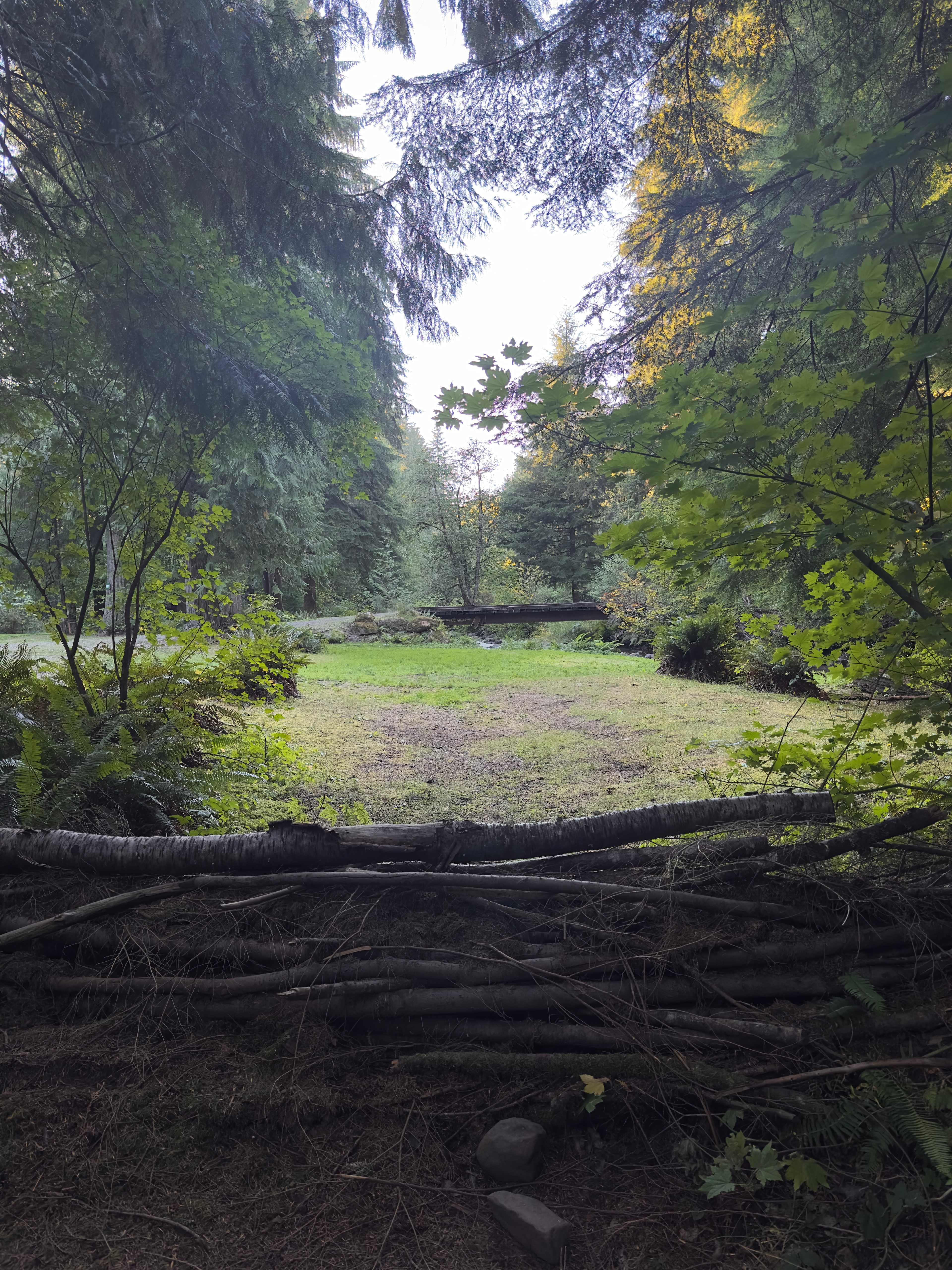 Camp Cedar Creek ⛺️🌲🚐