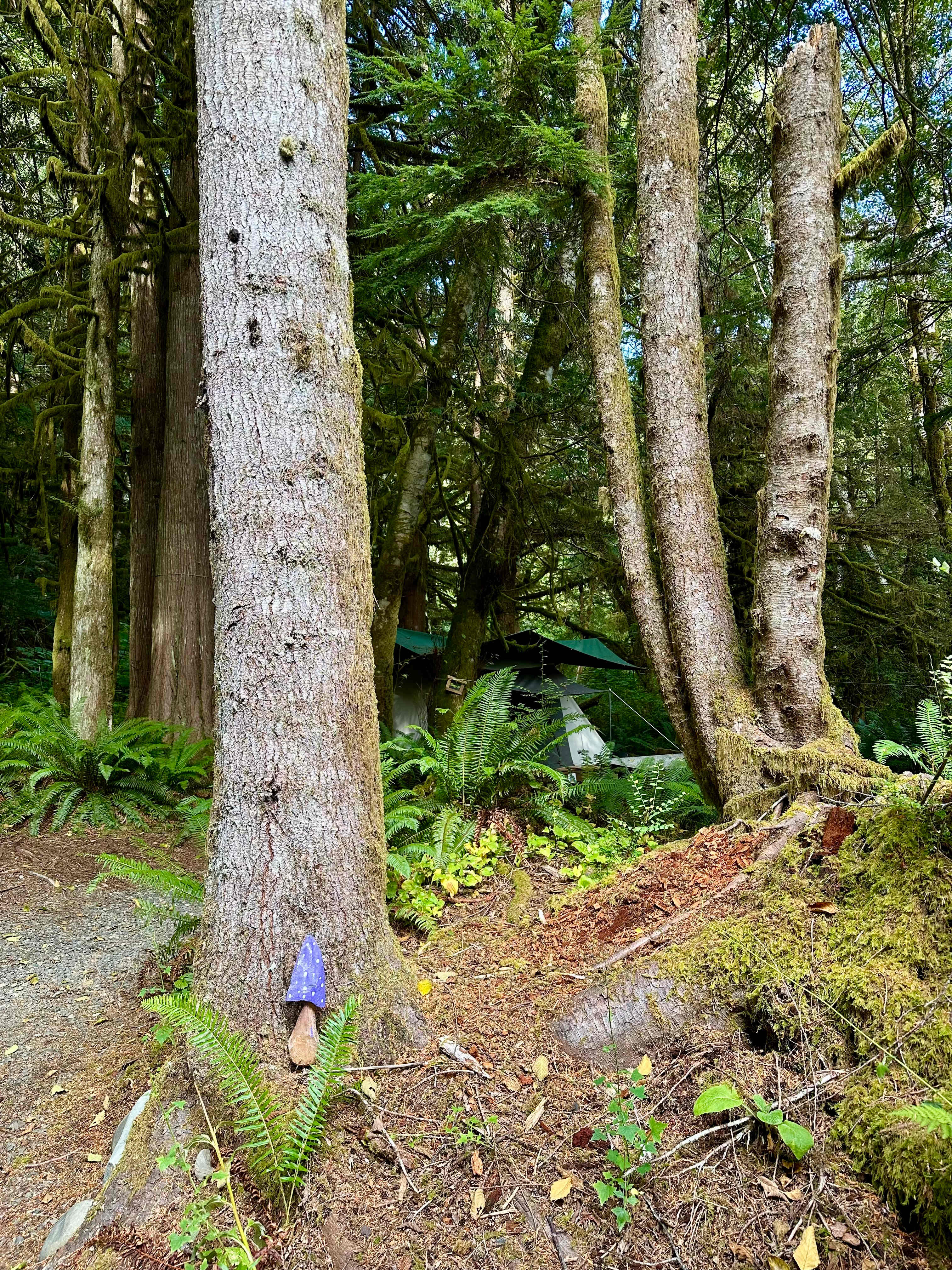 sol duc rainforest retreat
