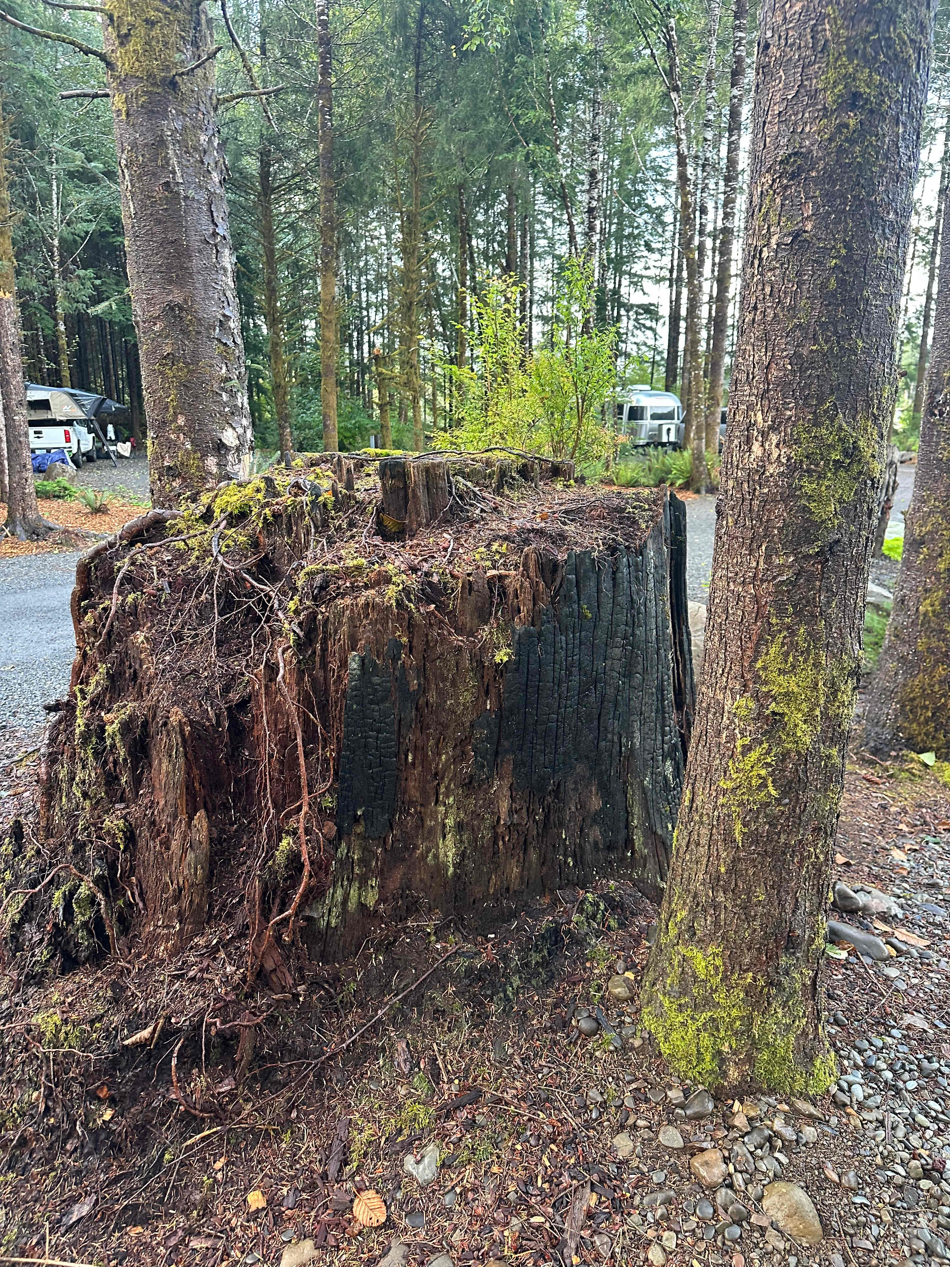 Olympic Adventure Campground