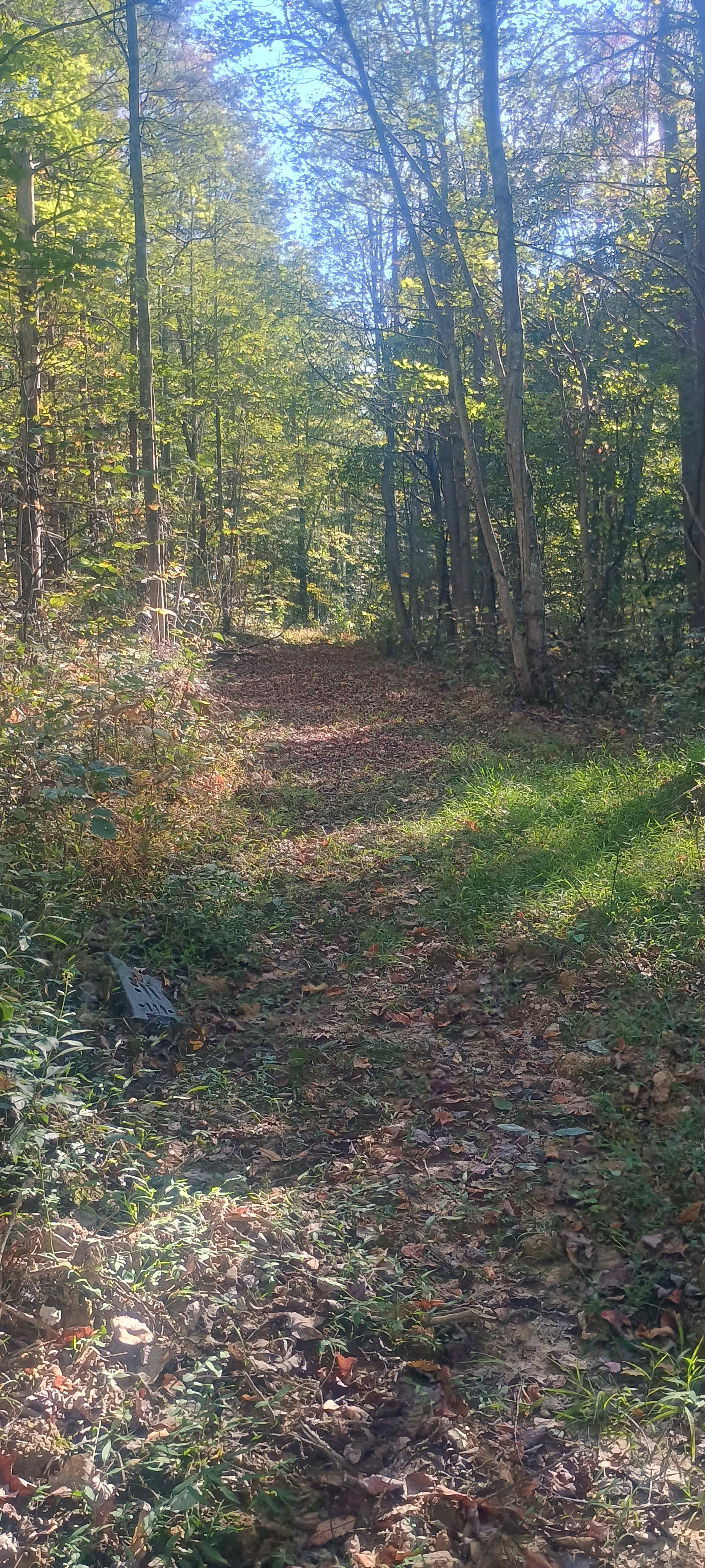 Wild Ridge Campsites and LodgingLLC