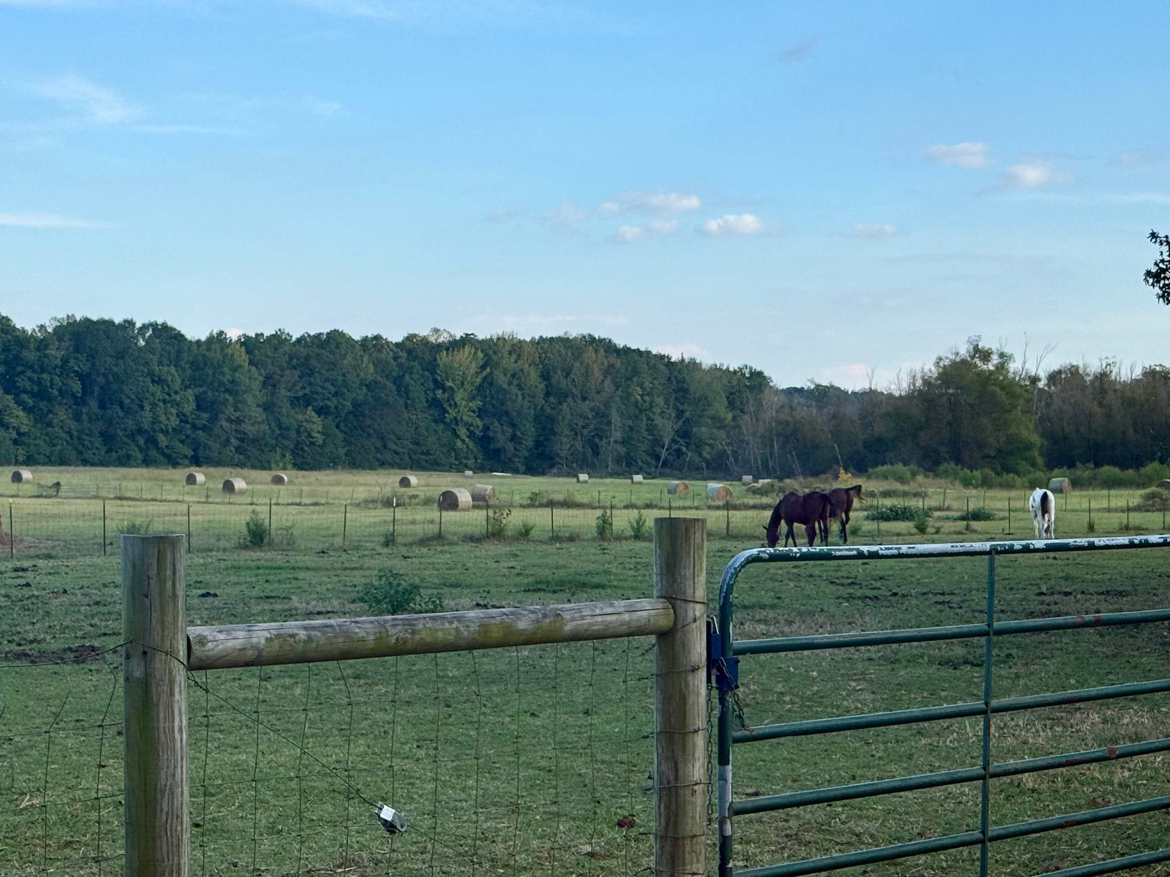 Beautiful property with lake to walk around