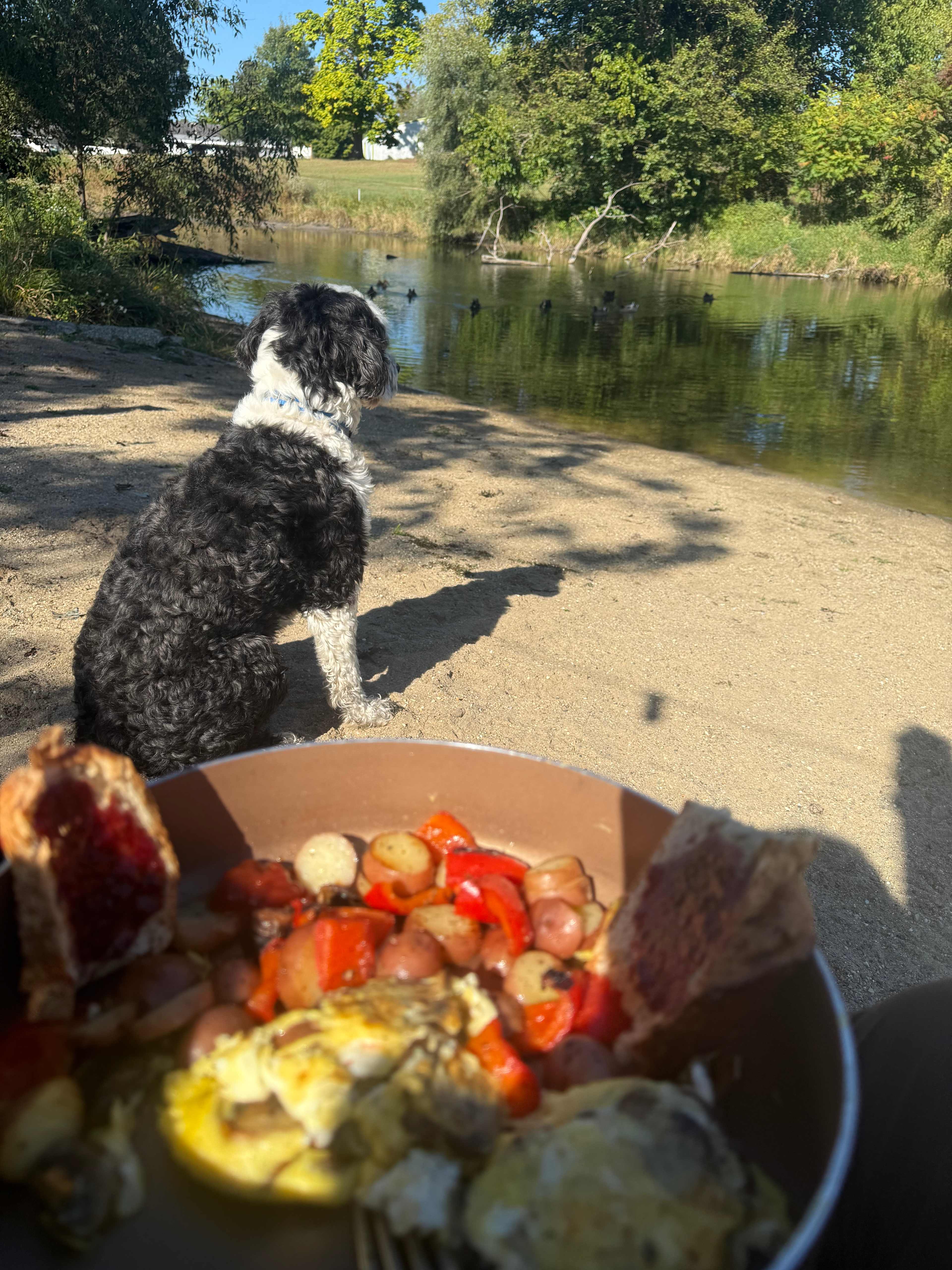 Breakfast by the lake