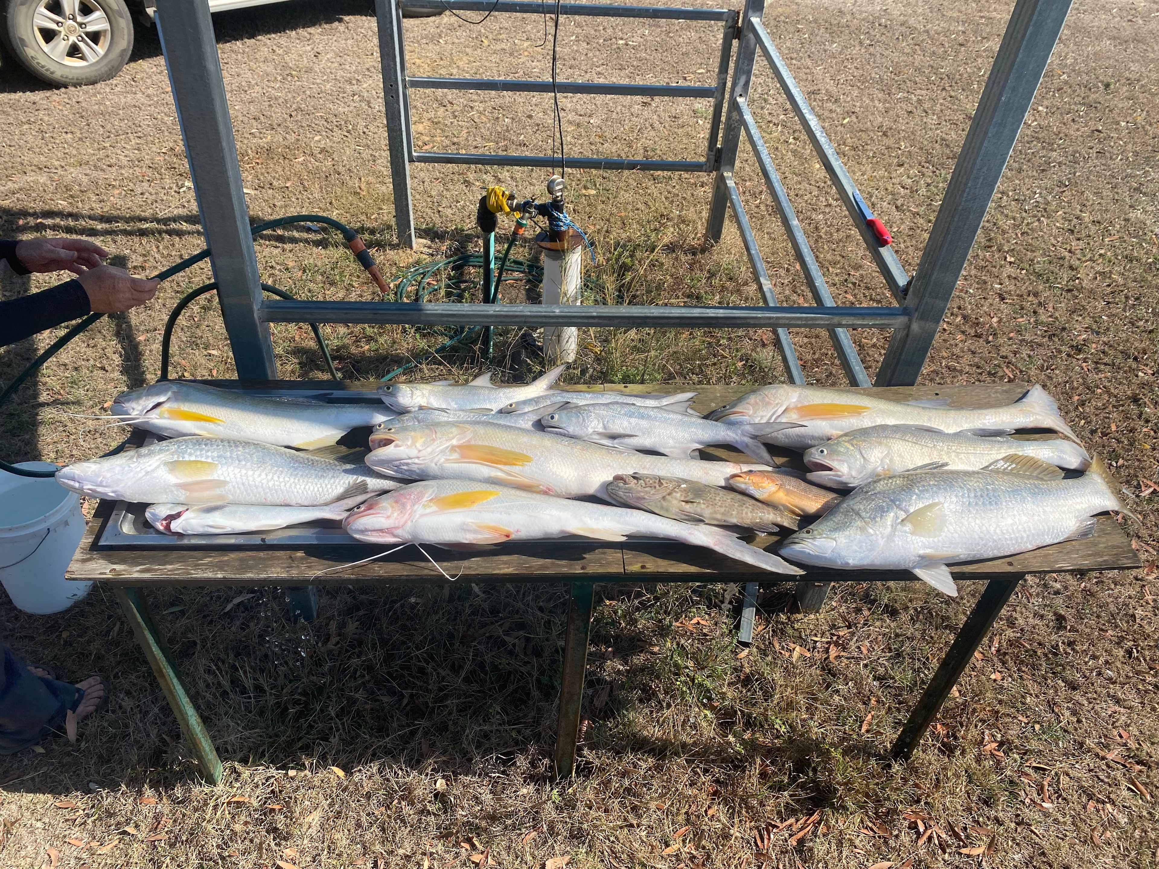 Fish cleaning facilities 