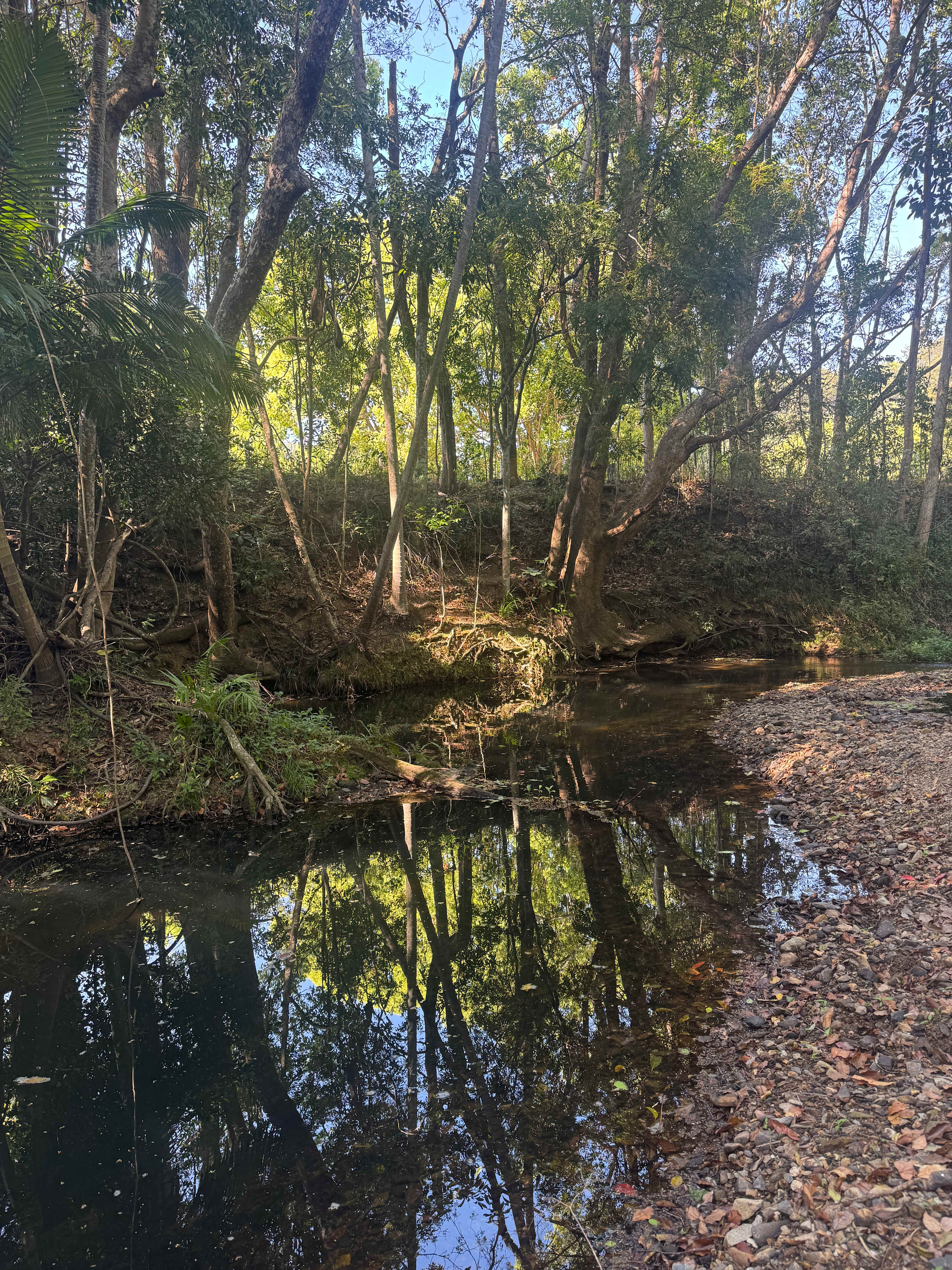 The Sleepy Hollow Manor Estate