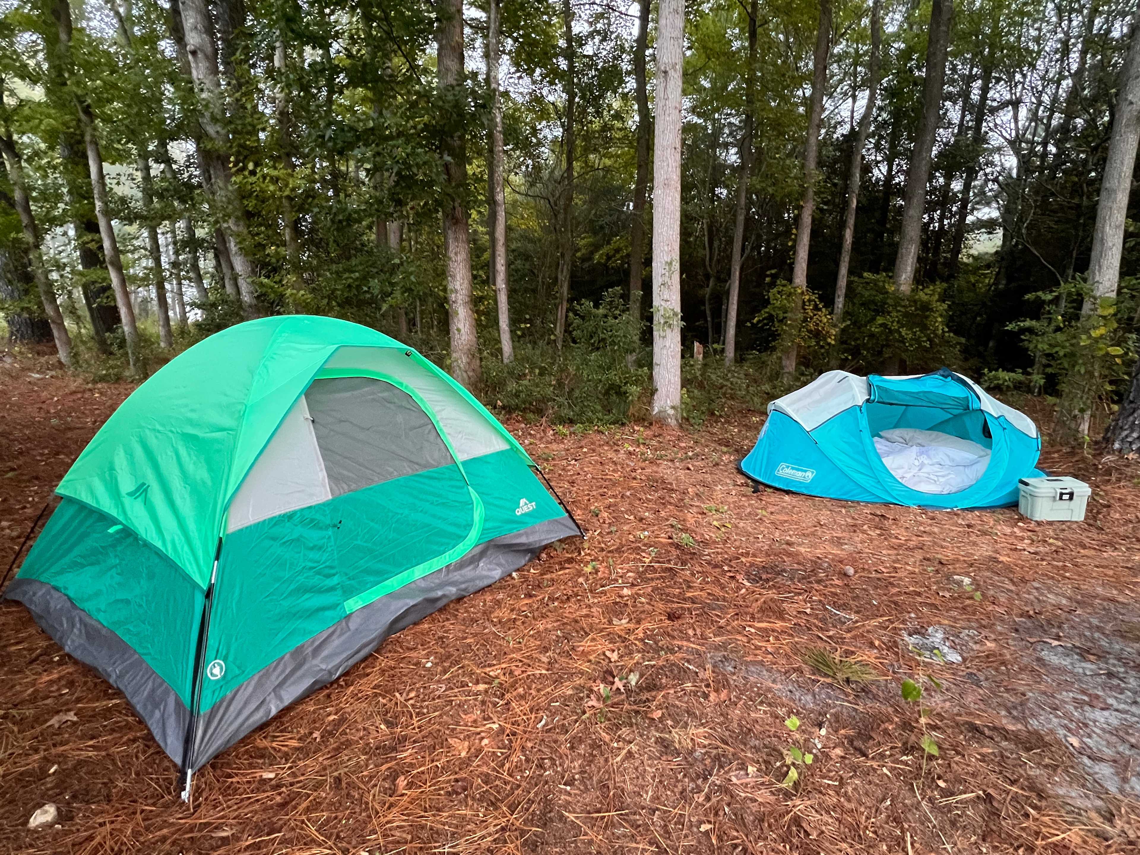 Strawberry Crossroads