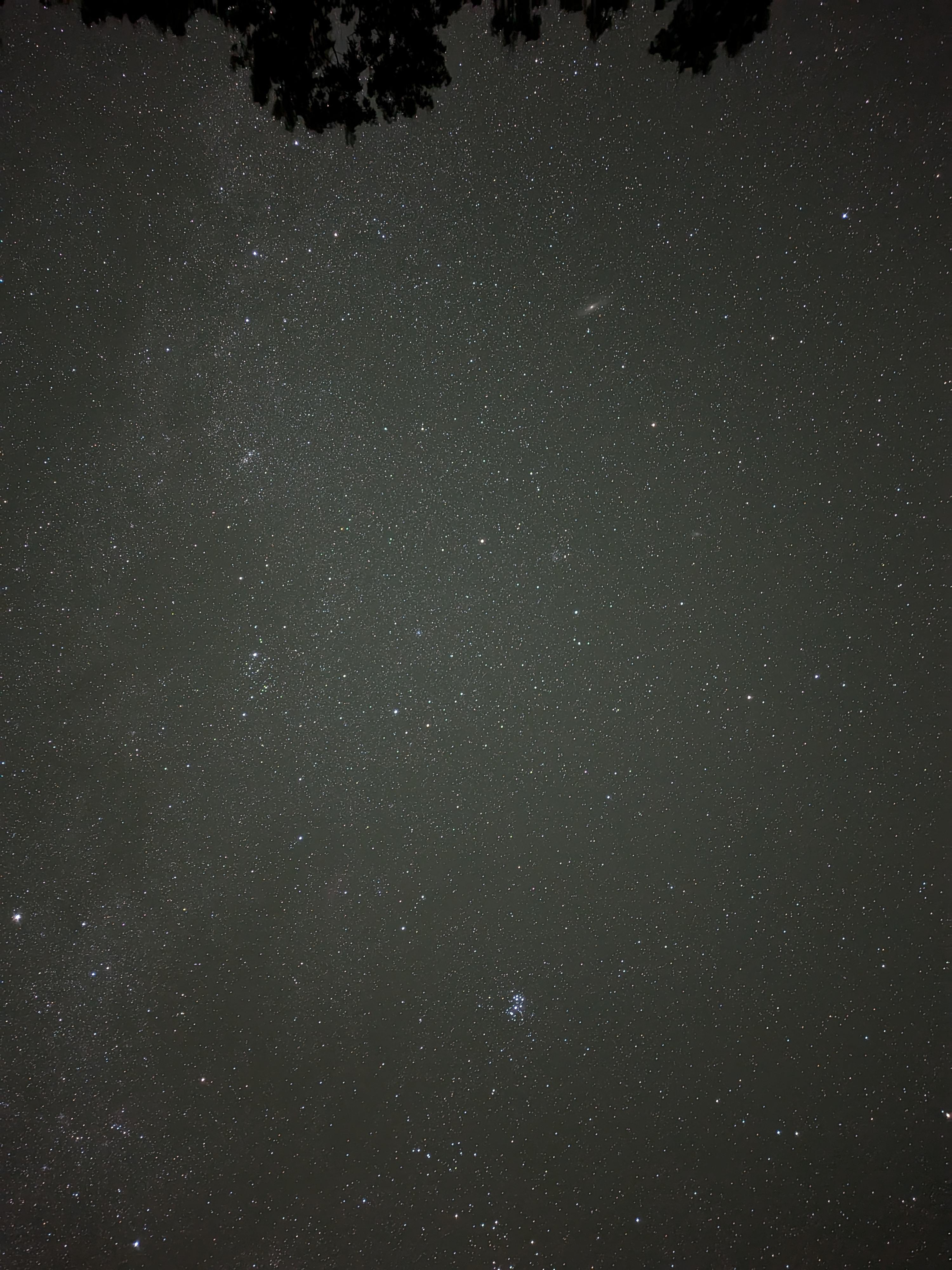 Starry Nights New River Gorge