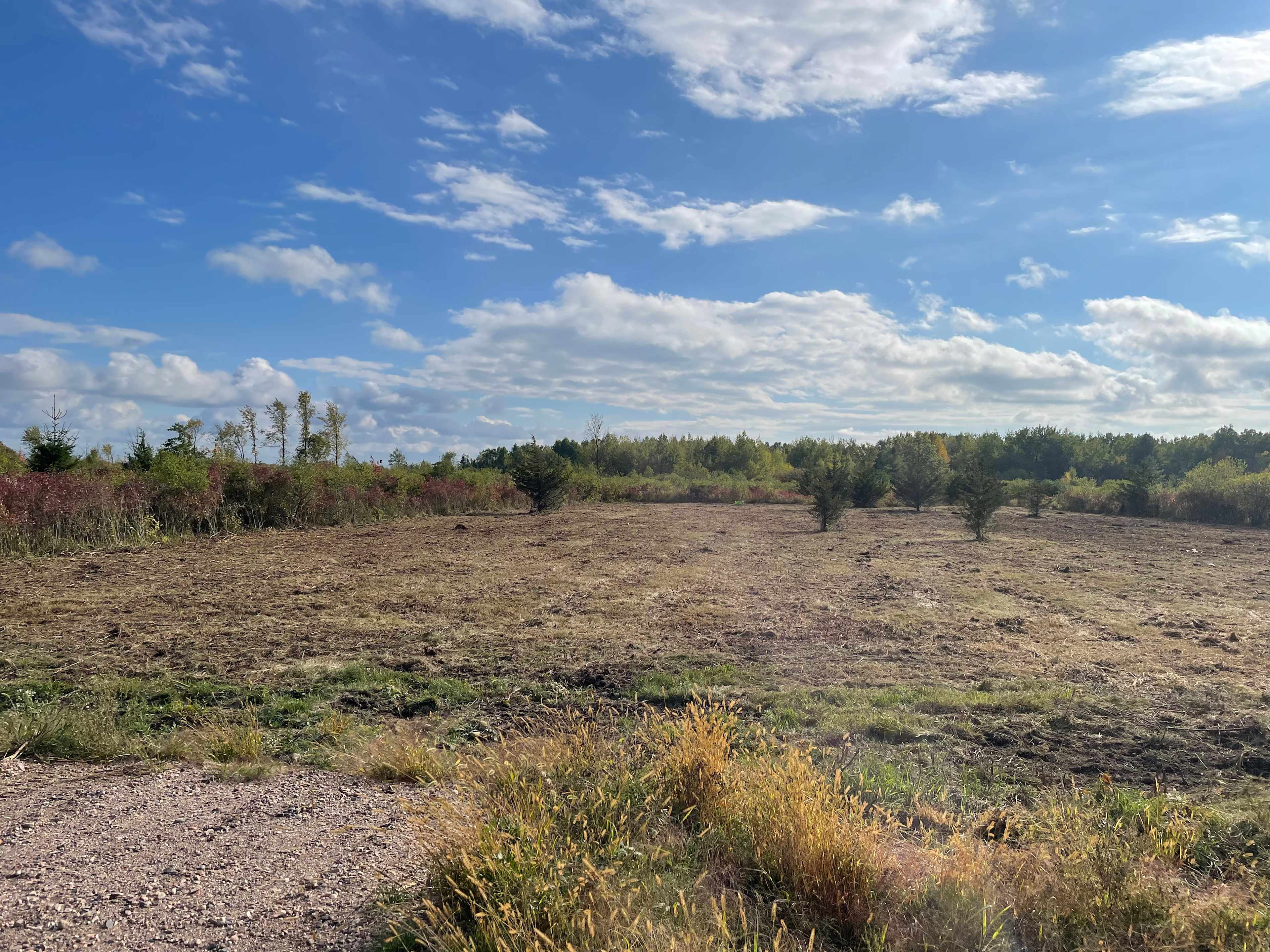 🌲 1000 Islands Hideaway