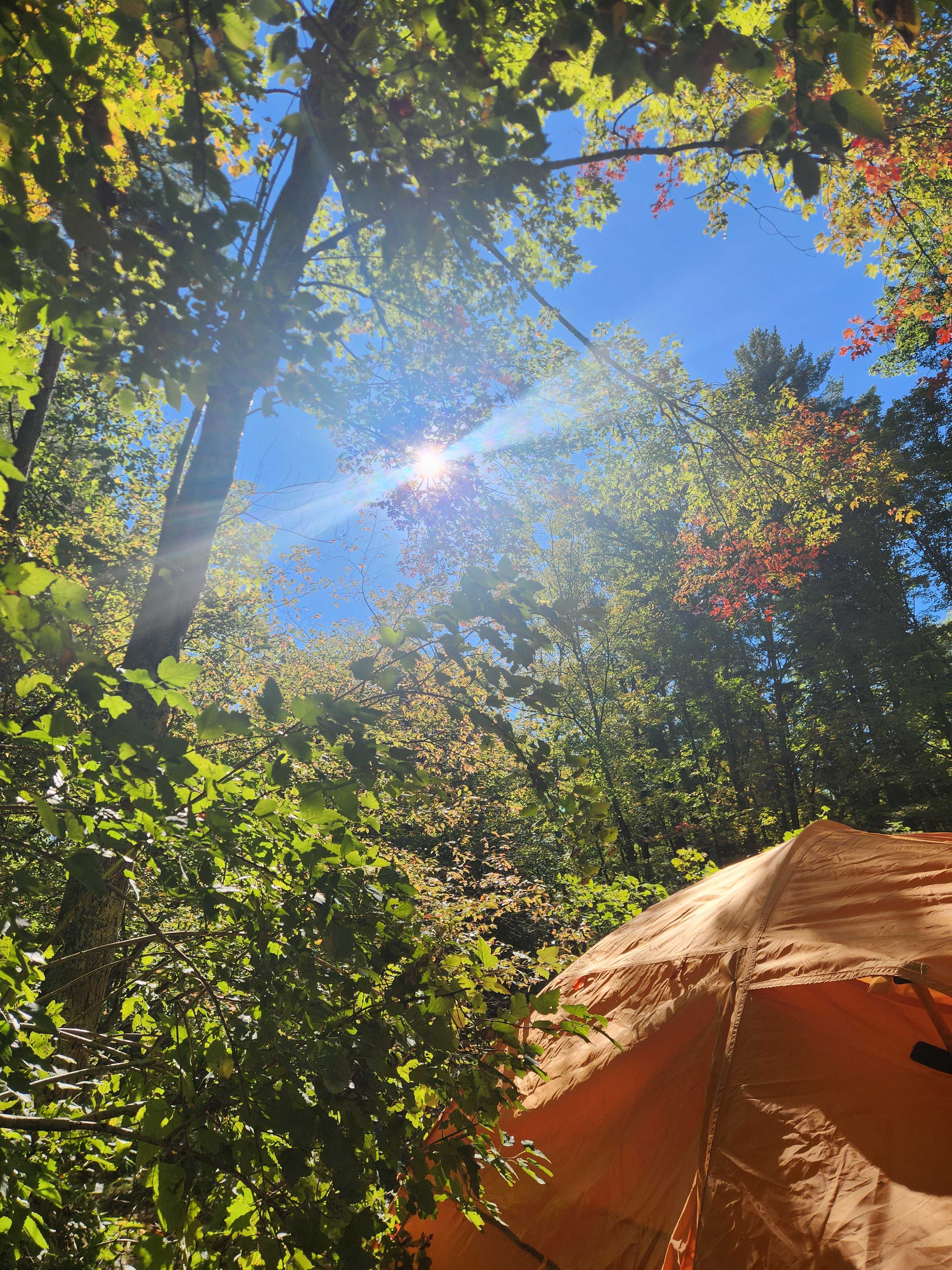 Brookhollow Riverfront Campsite