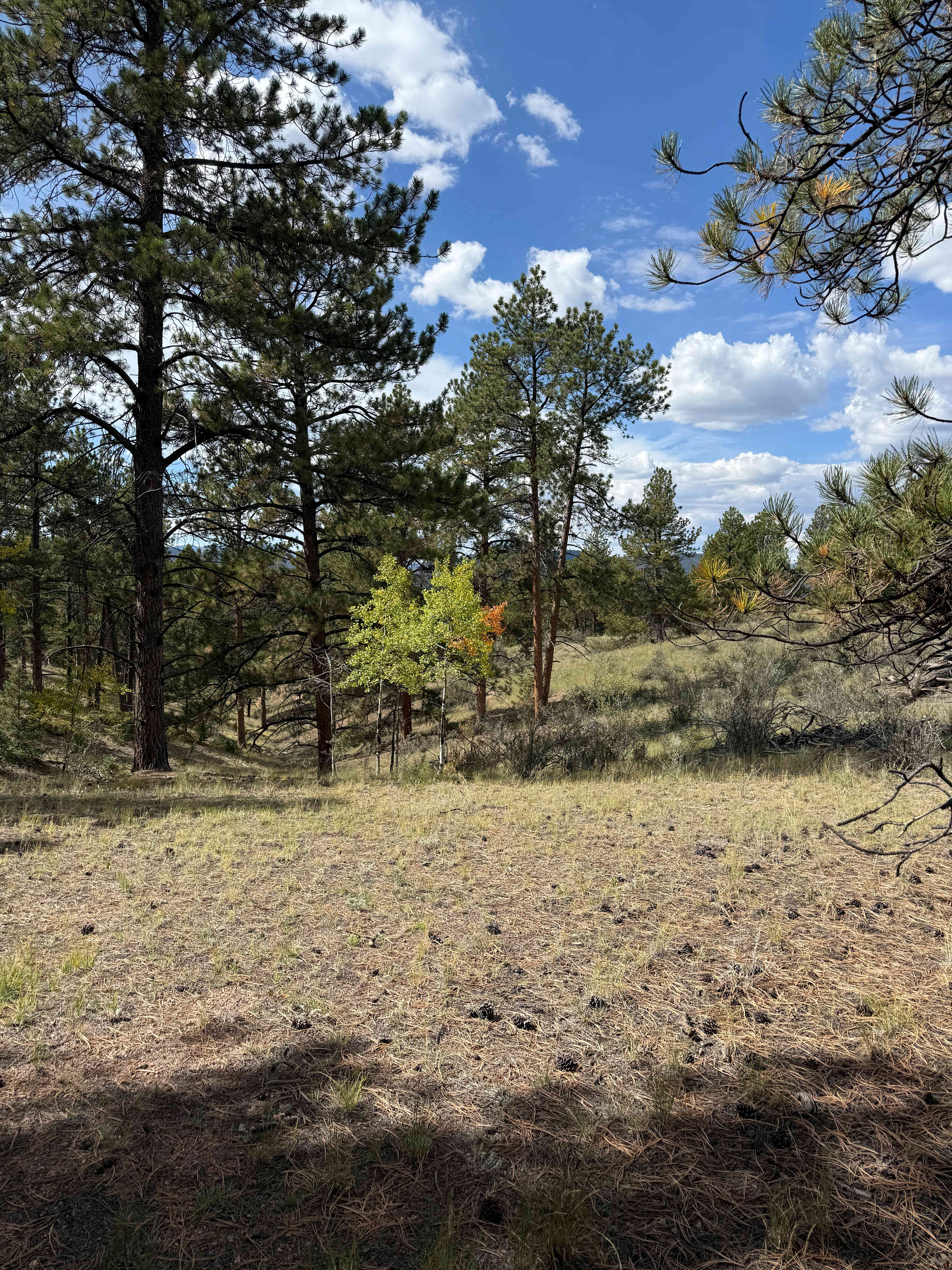 Camp Kan-Ne-Ga (Ute for "home")