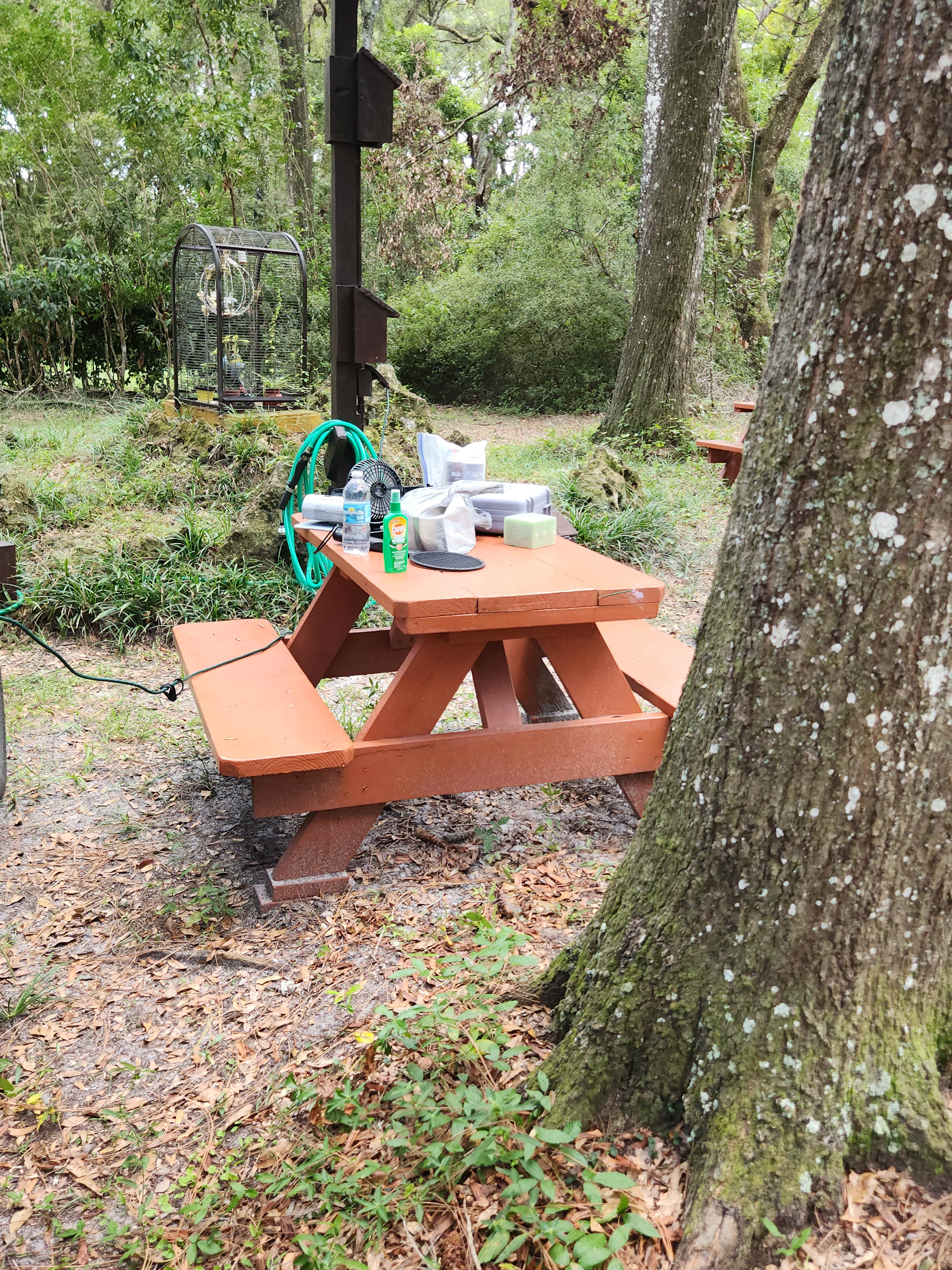 Outdoor Cooking