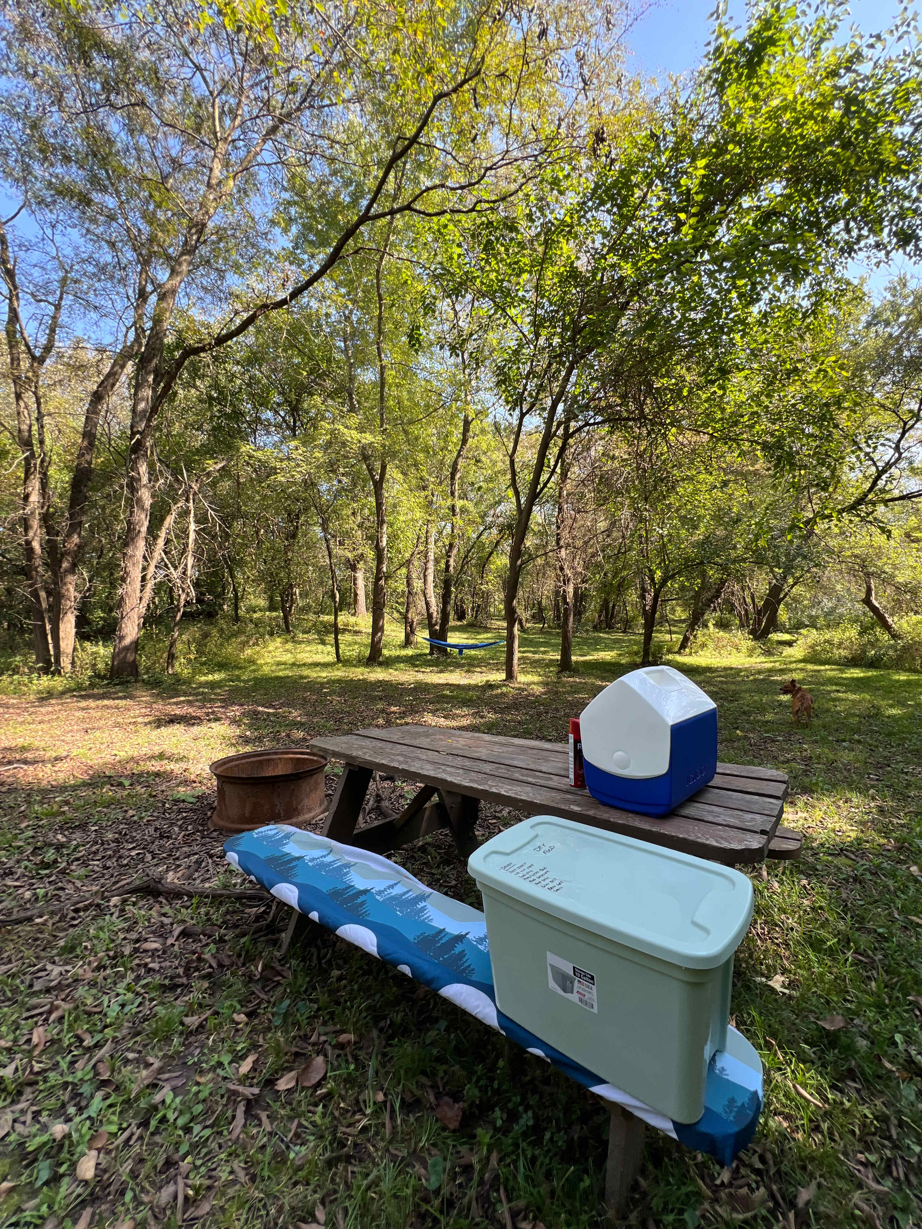 Lower picnic area with fire pit 