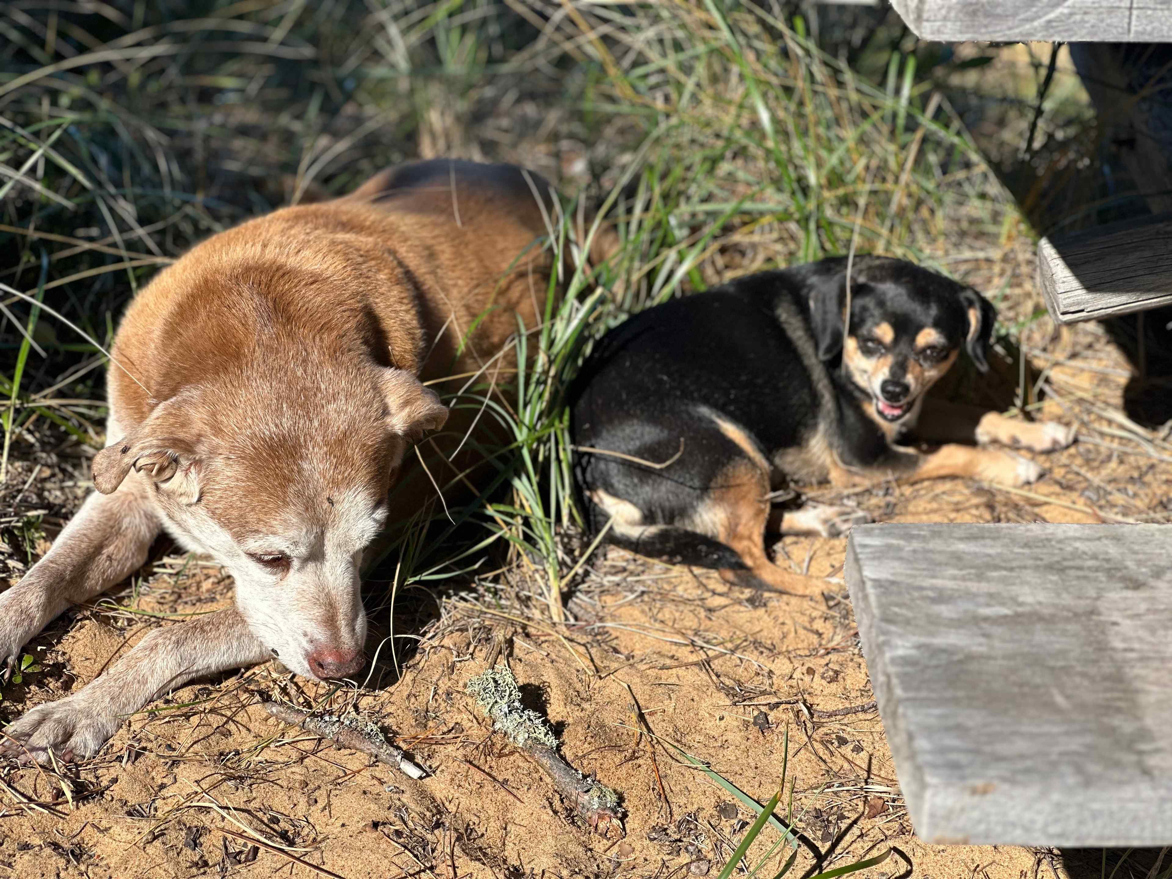 Lake Superior Beach Perfection