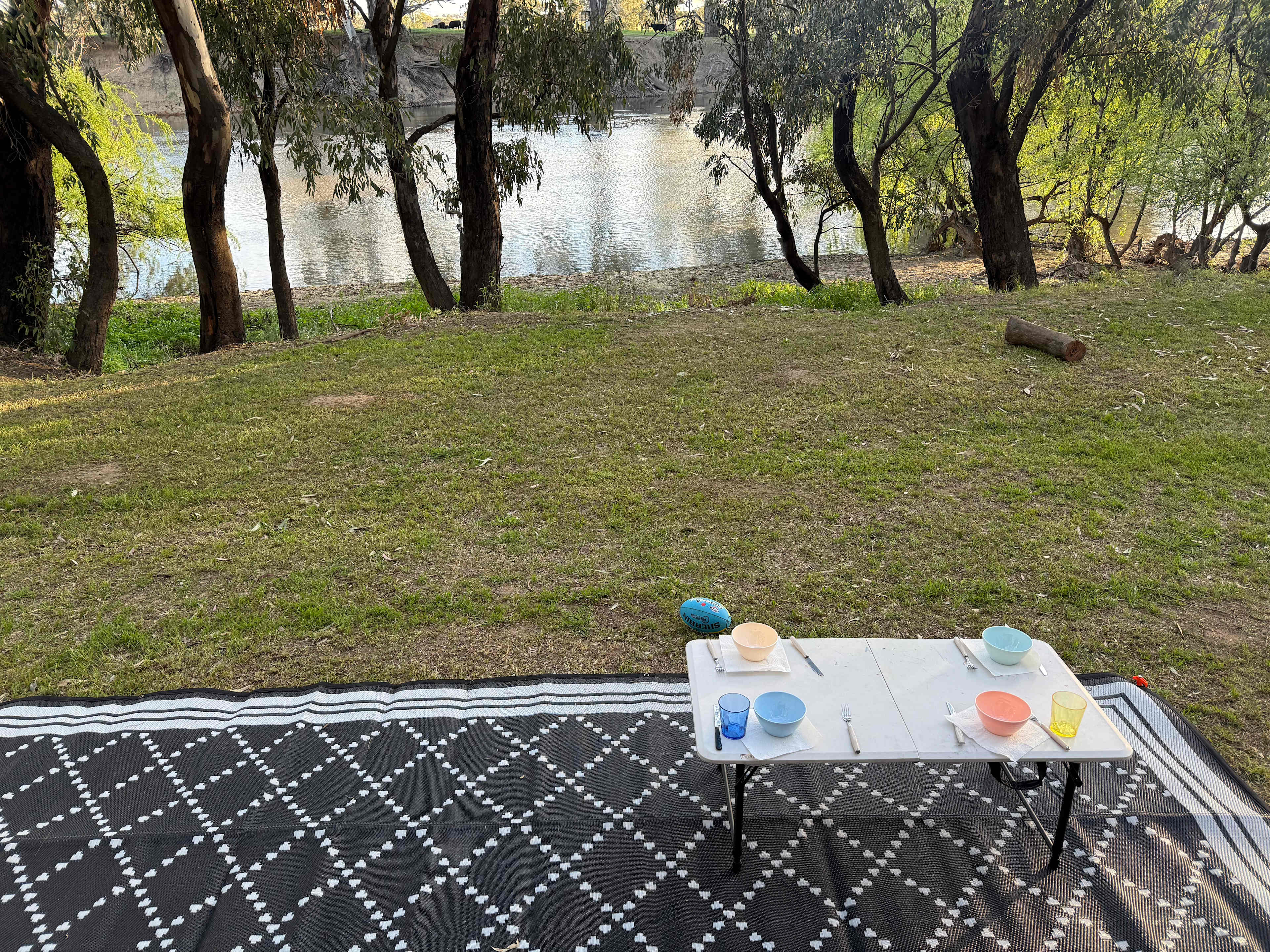 Palm Cove On The Murrumbidgee