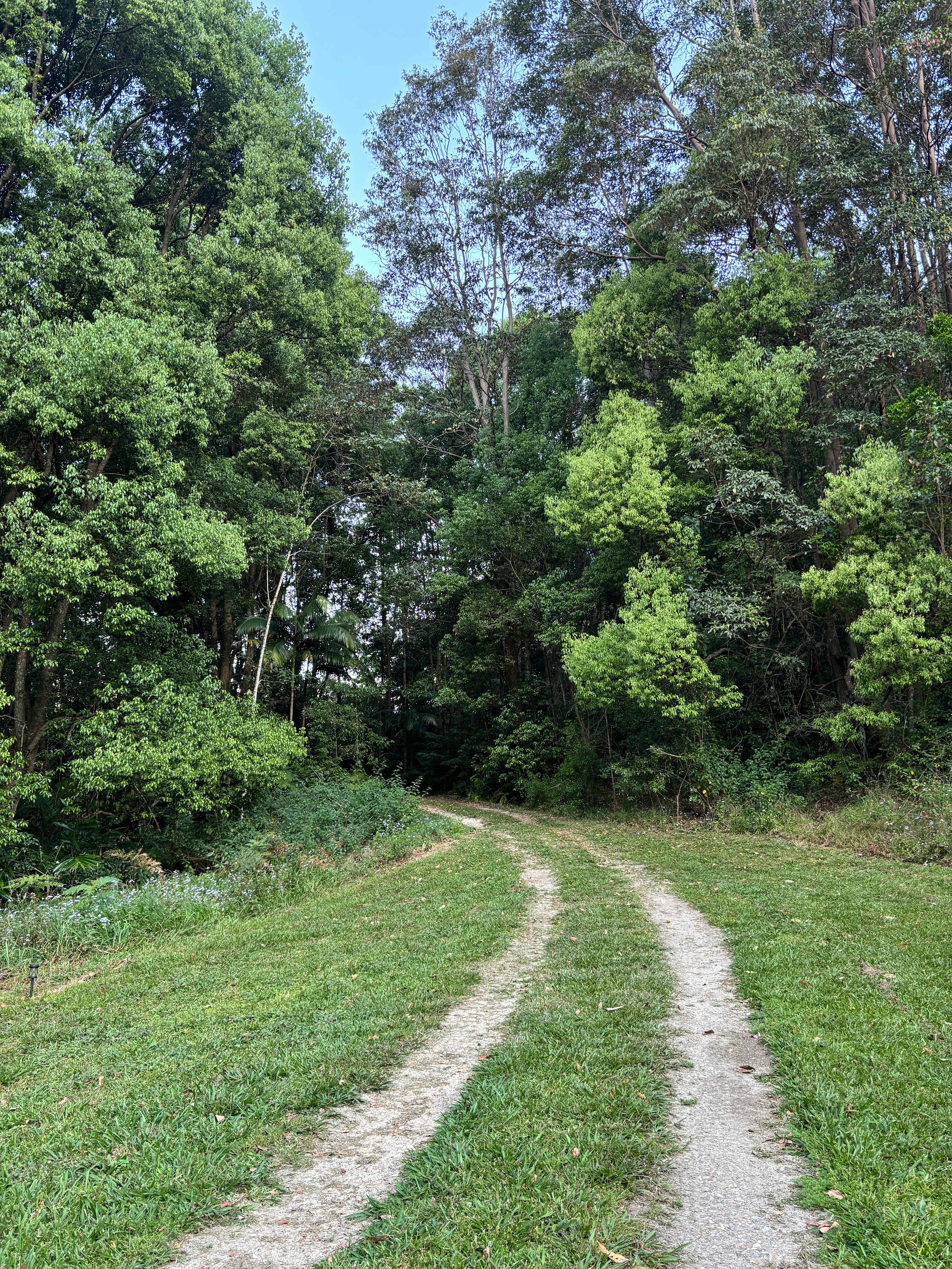 Crystal Creek Rainforest Treehouse