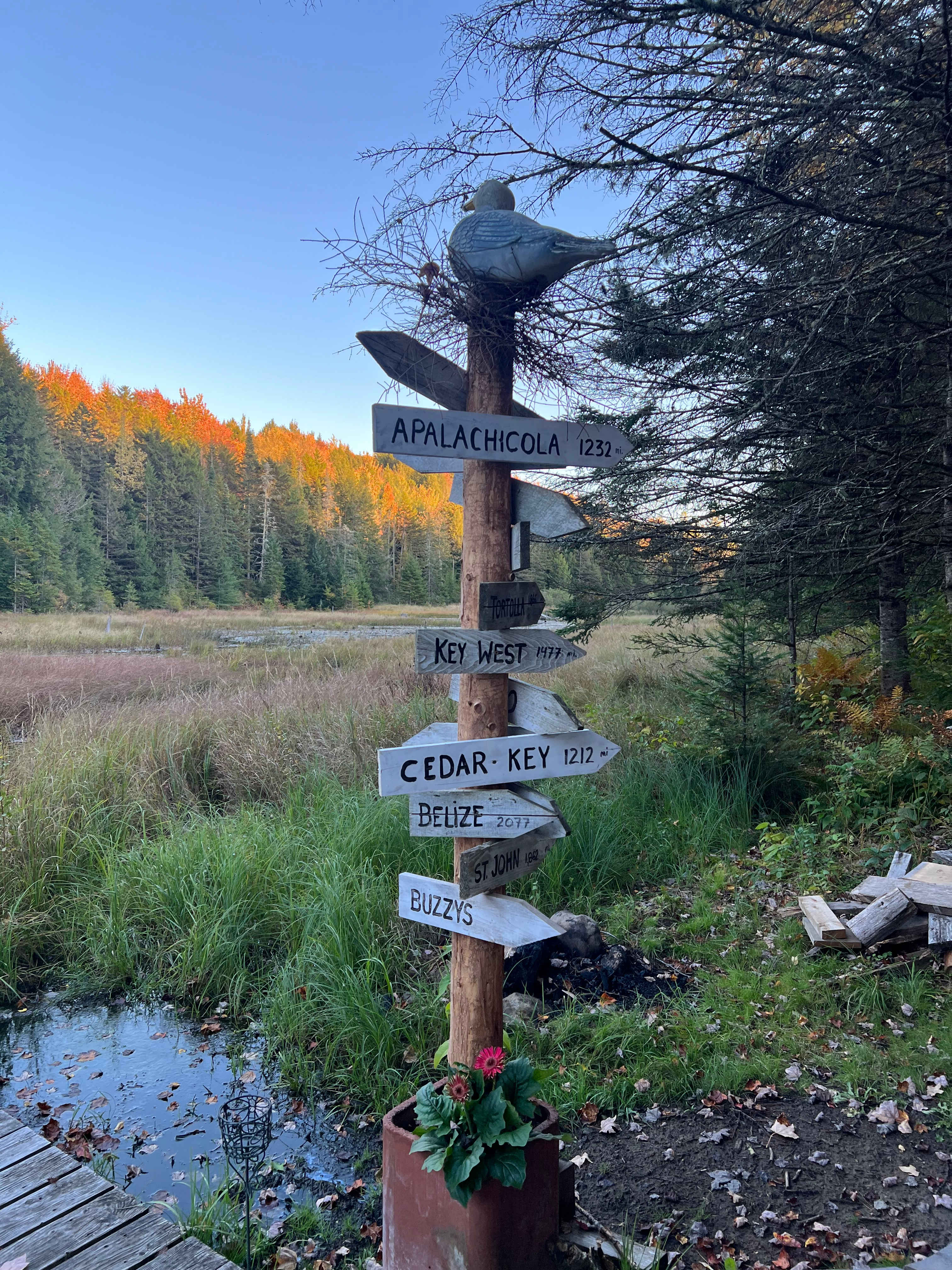 Bumpa's Camp - experience true VT!