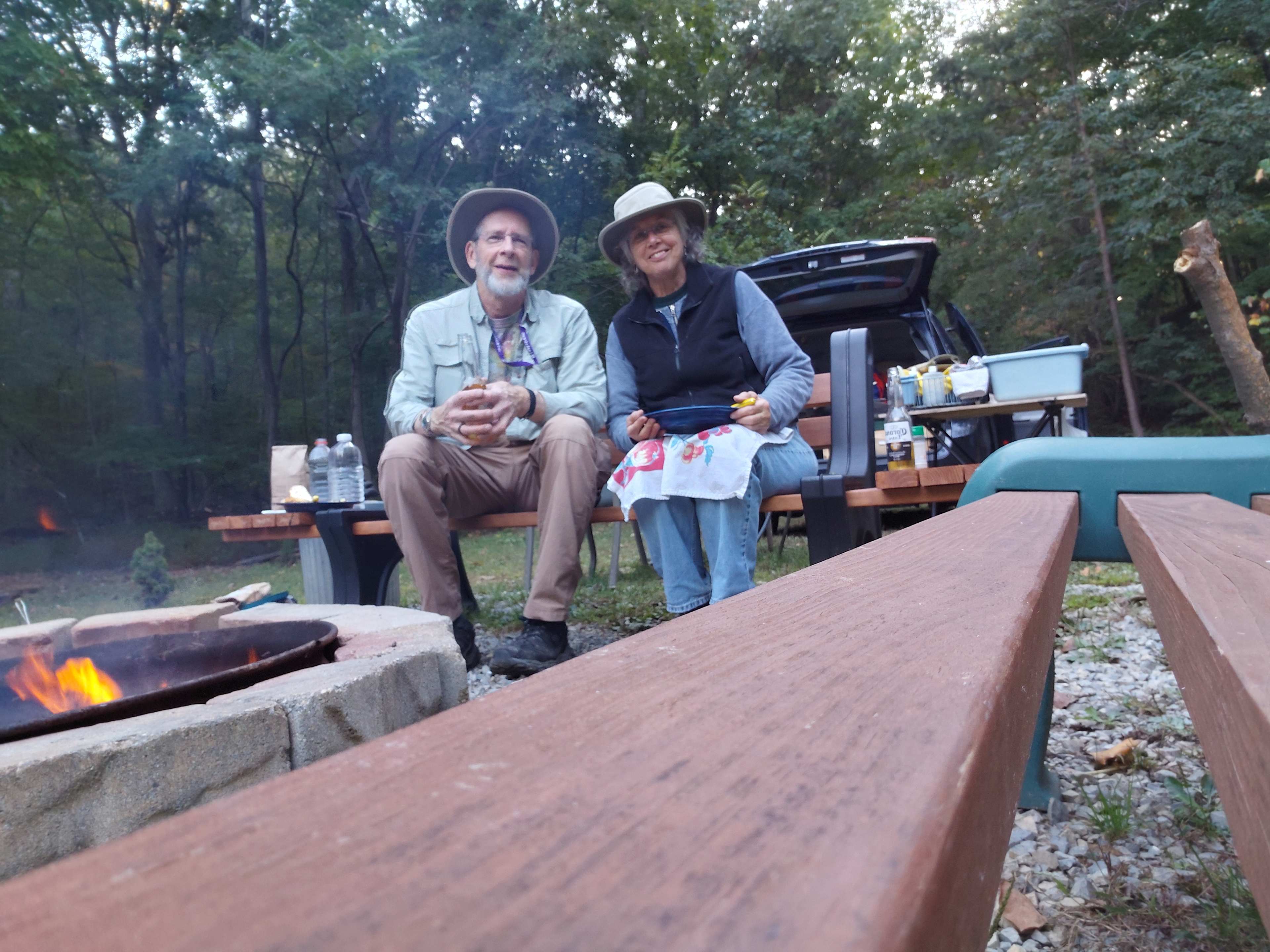 Peaceful Hollow Pines