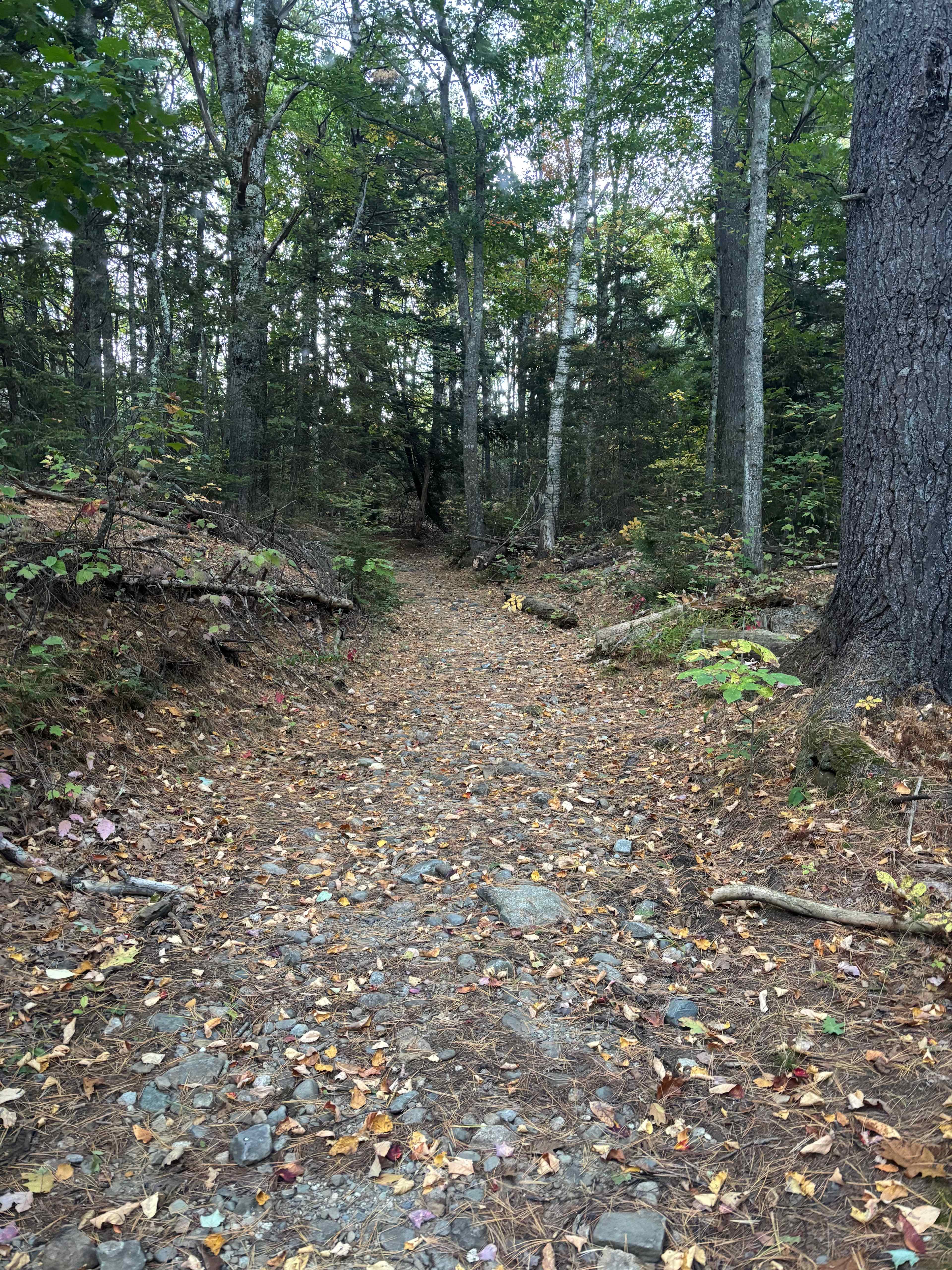 Road leads to a lookout point. Lookout is a 1 mile hike from campsite. 