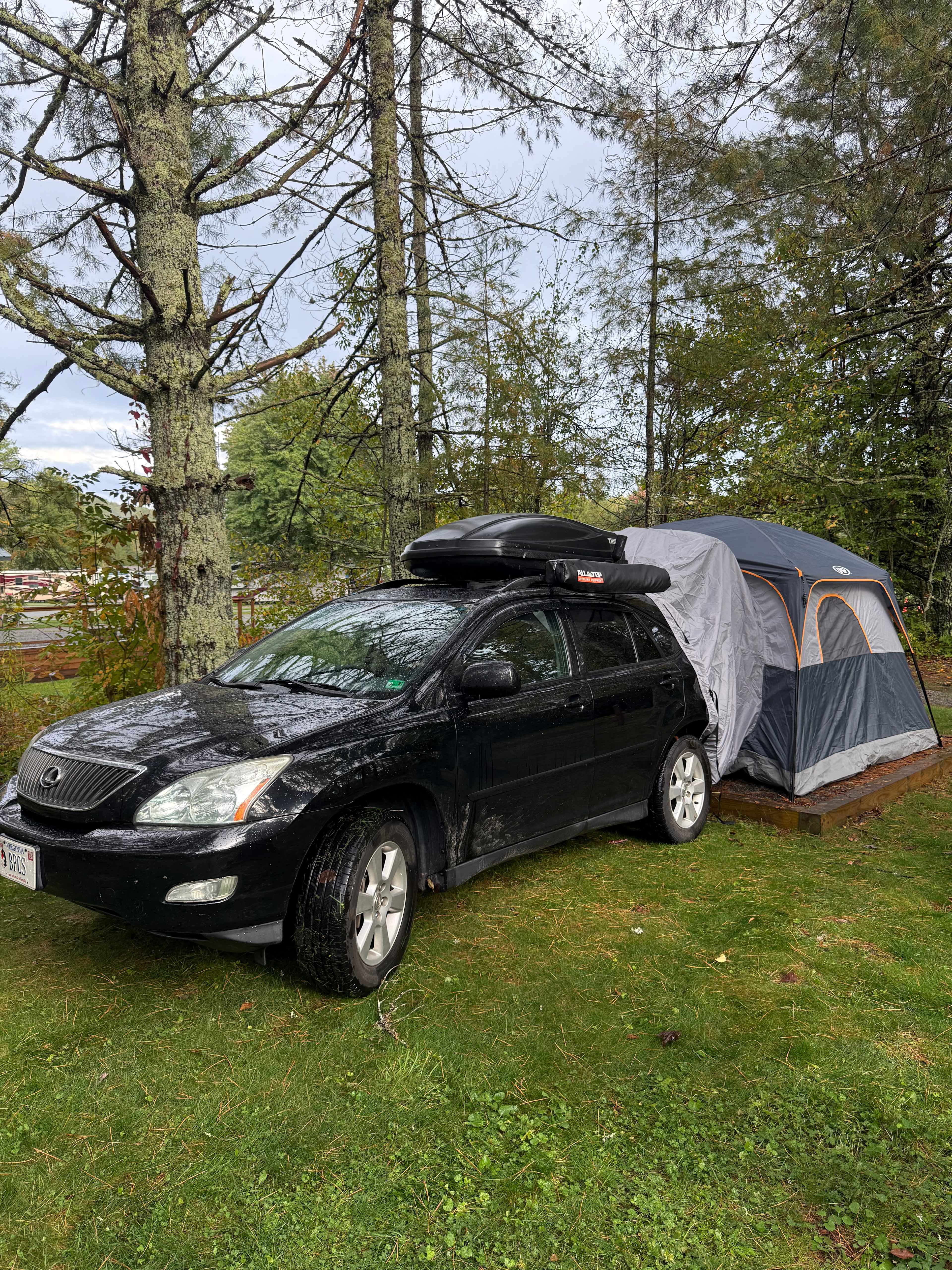 The Pineola - Camp, Lodge, Taproom