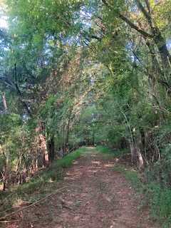 Covenant View Camp and Retreat