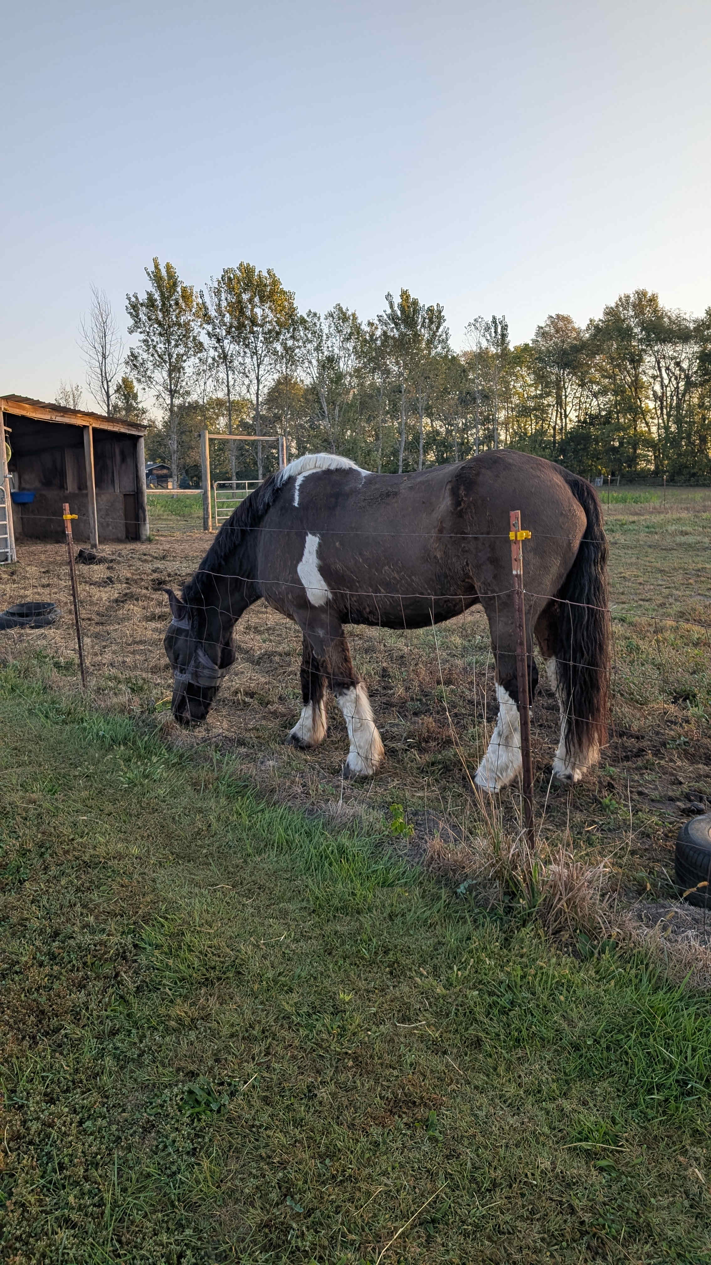 Havendell Farm and Wayside