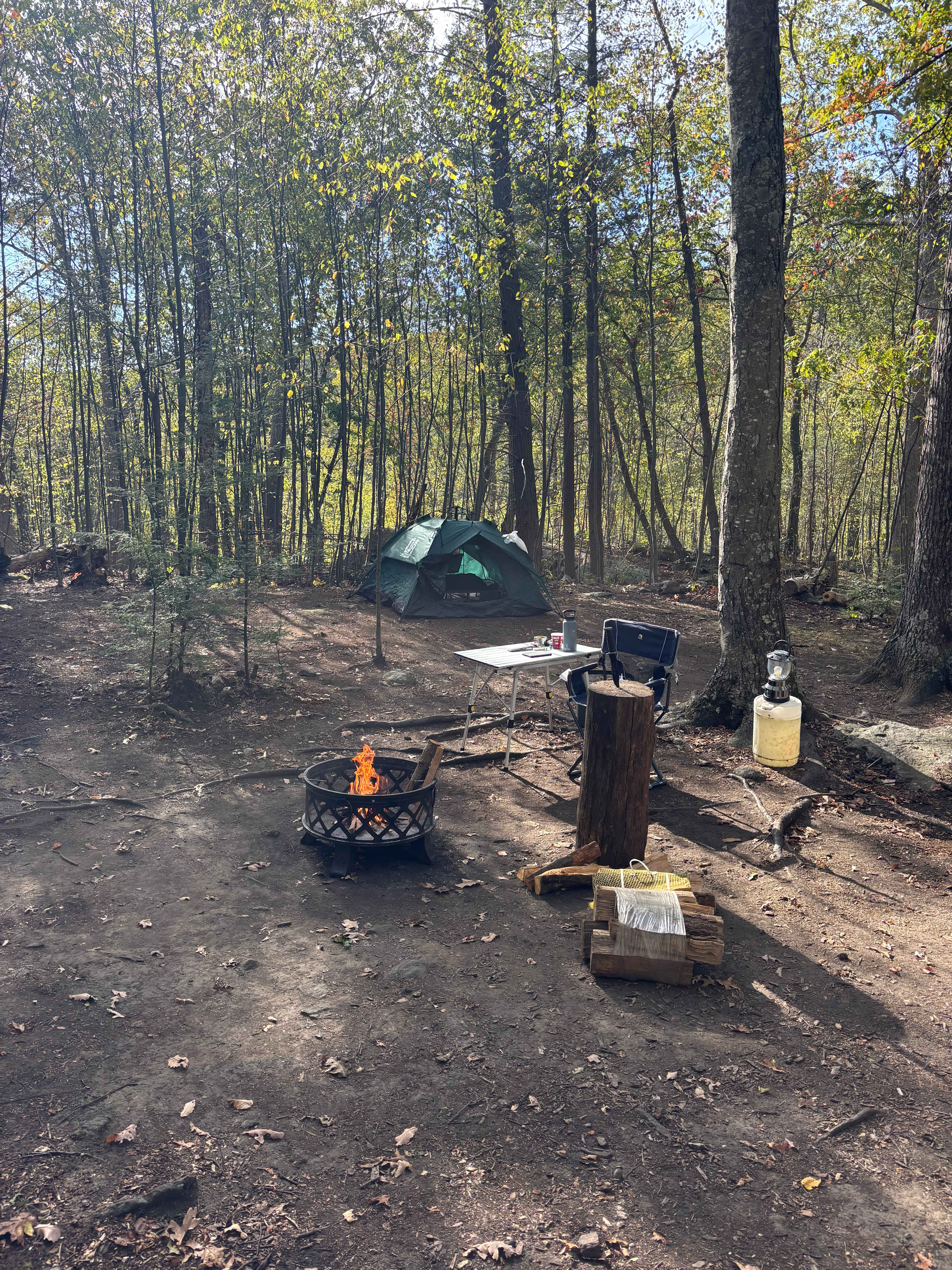 Paradise Valley Homestead