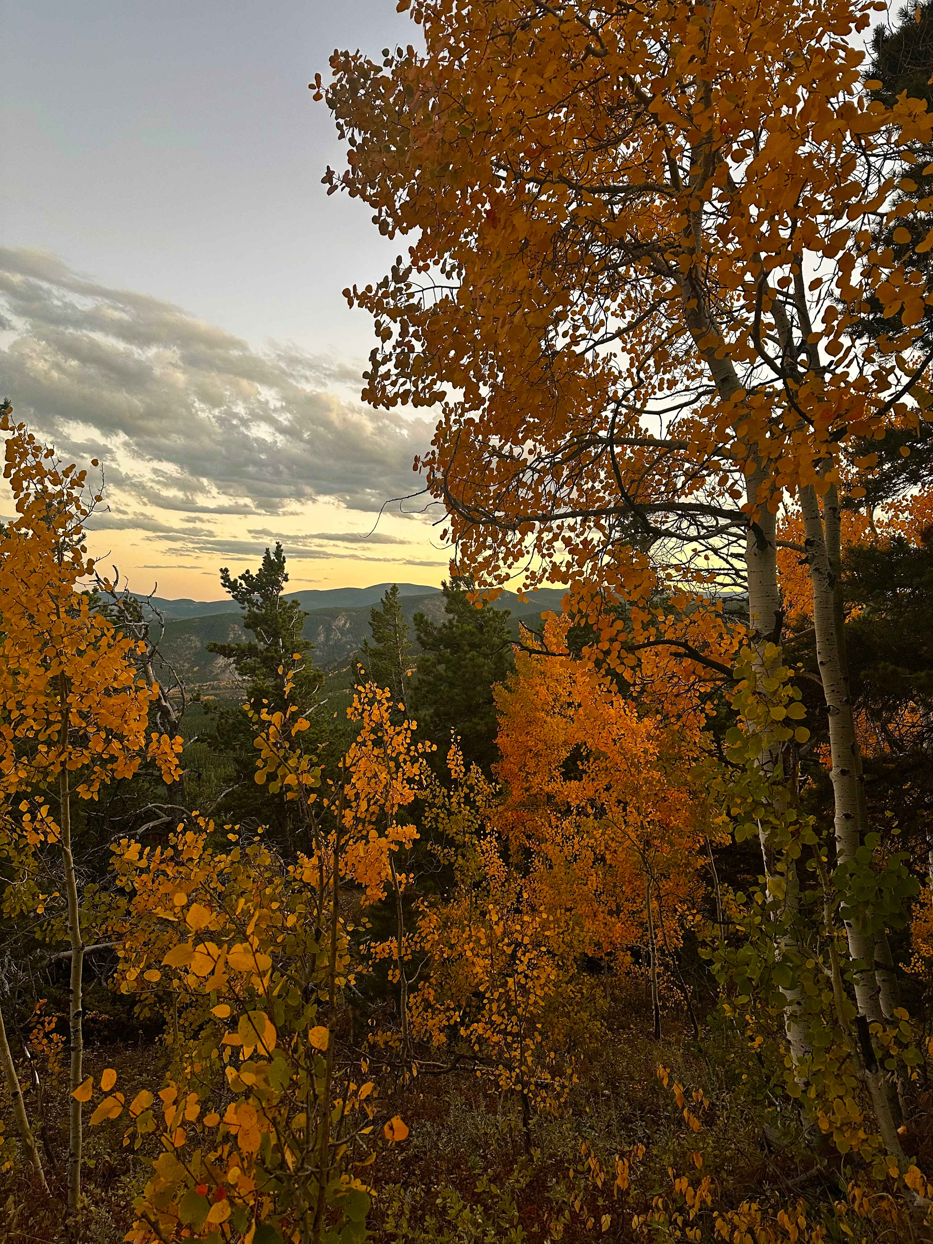 Neverland Camp Wilder