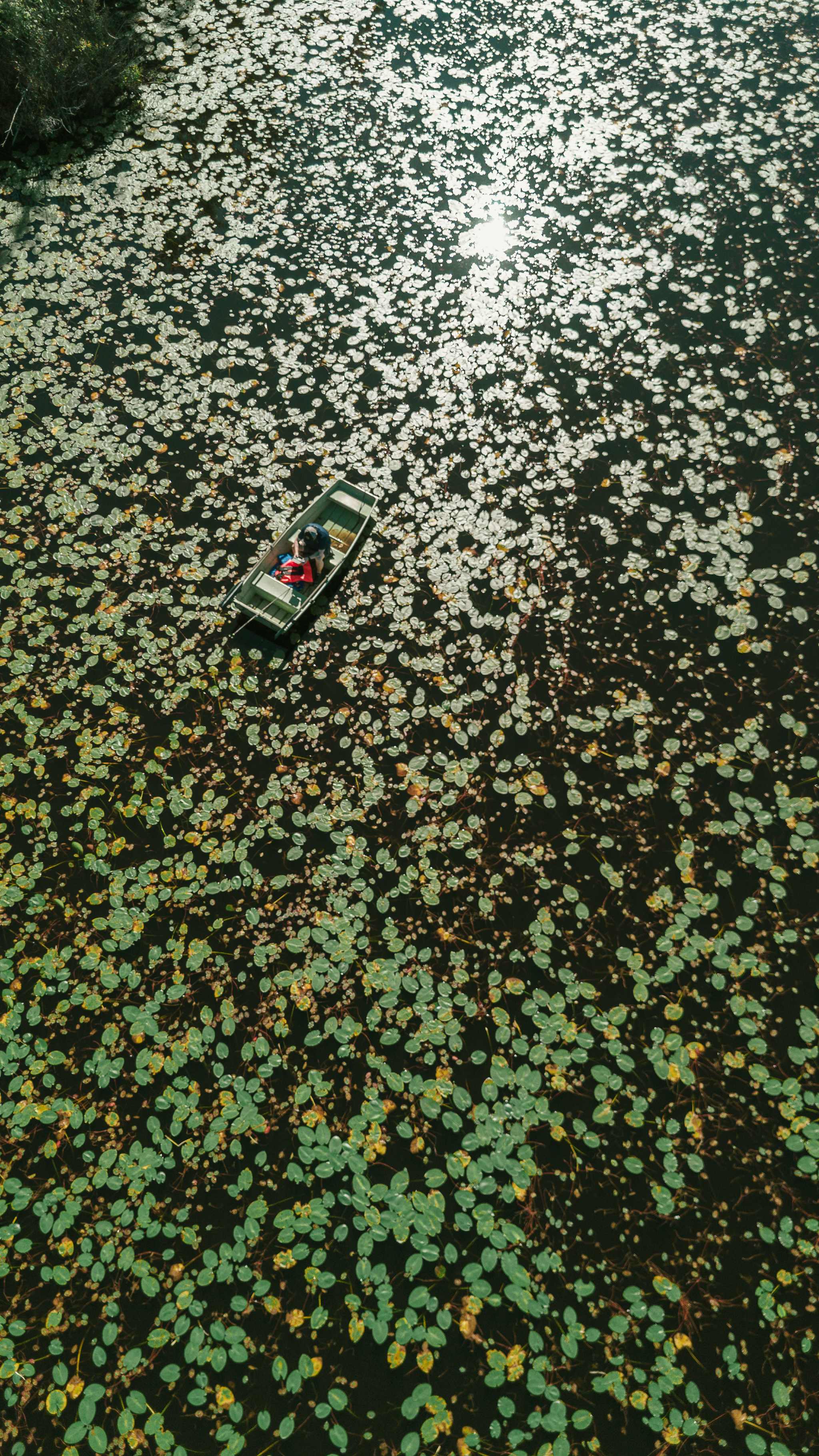 Trapper Arts Camping Retreat