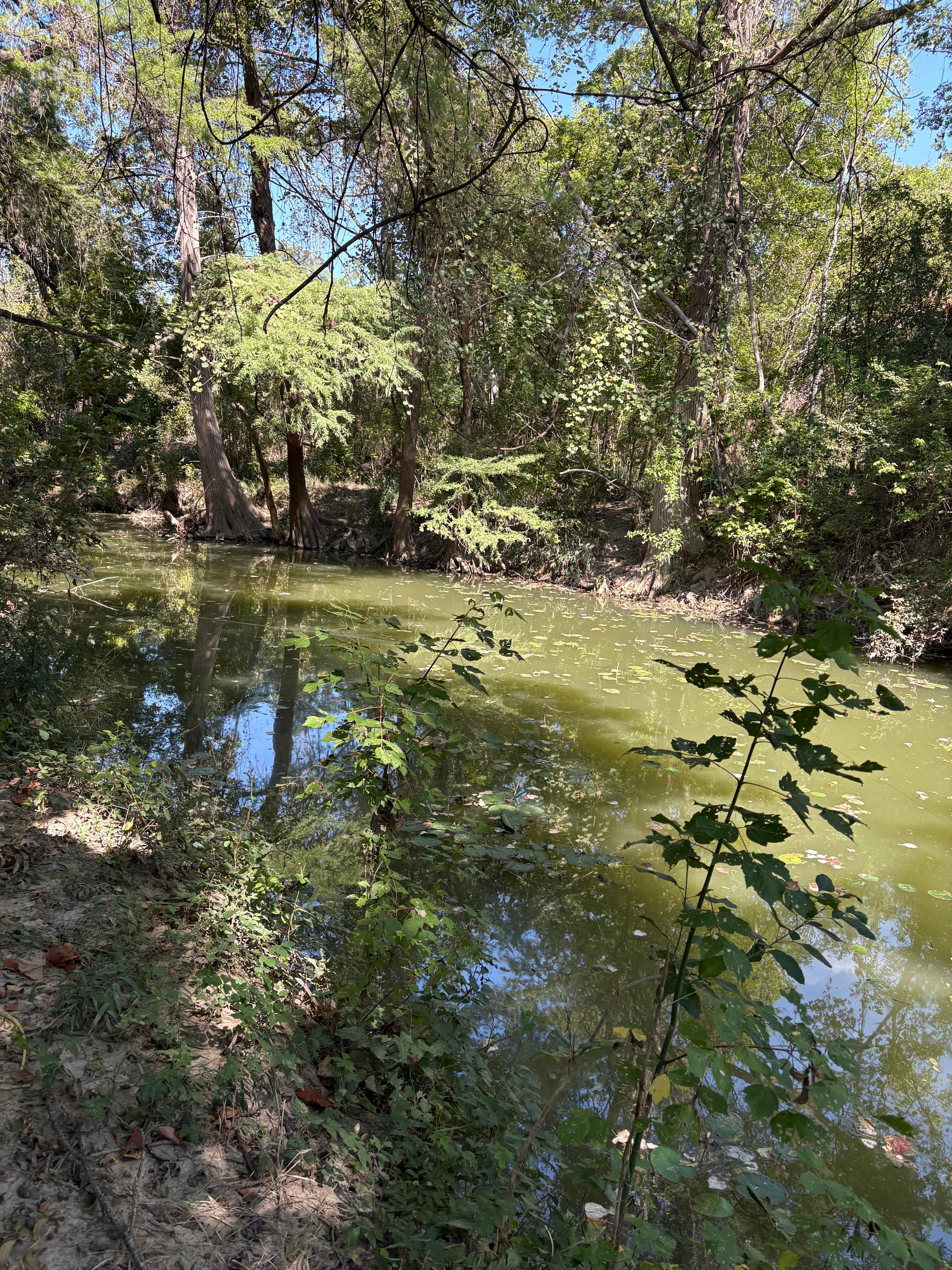 Alamo River RV Park & Campground