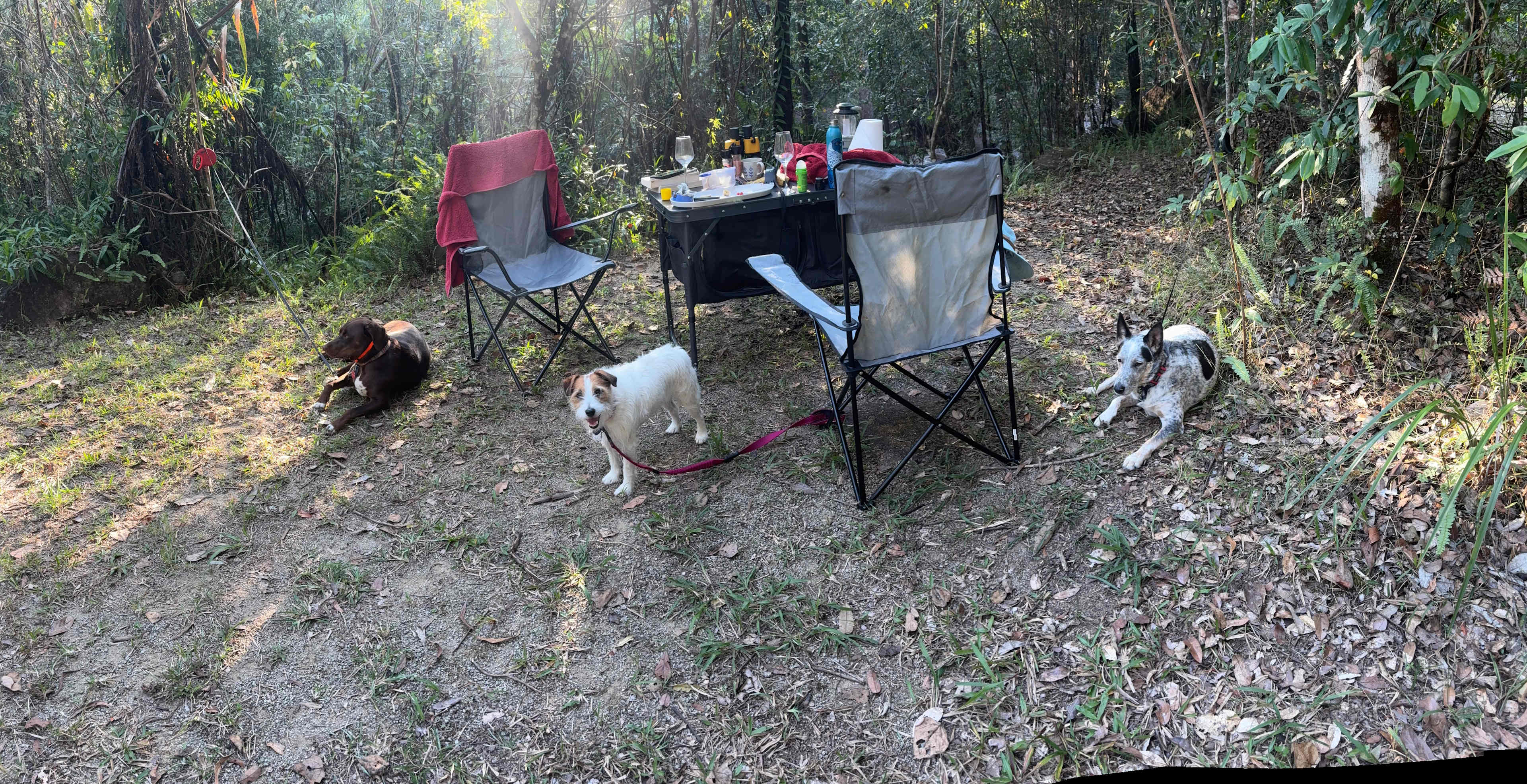 The Three Musketeers 