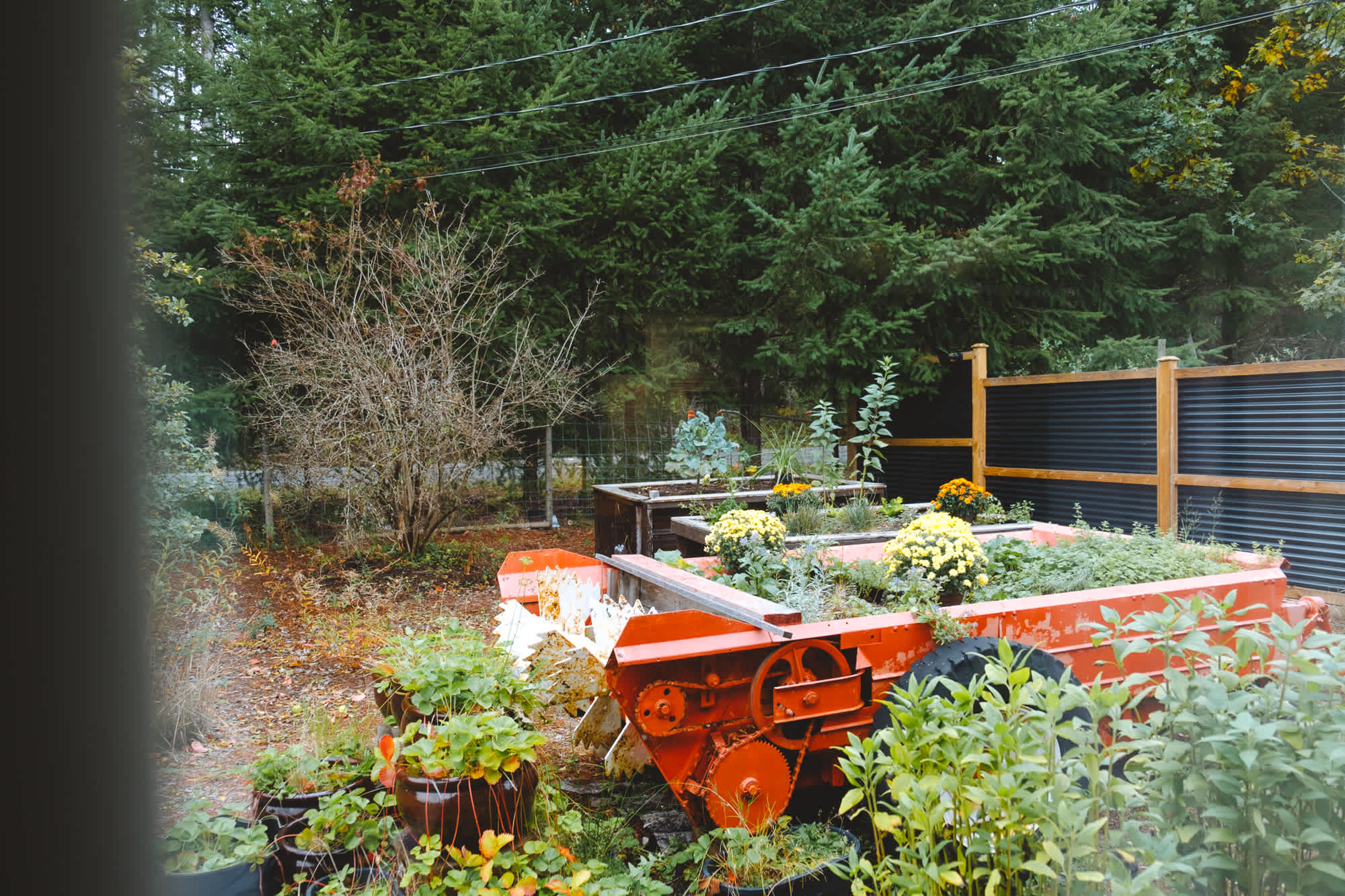 The view from bed of Karen’s beautiful garden.