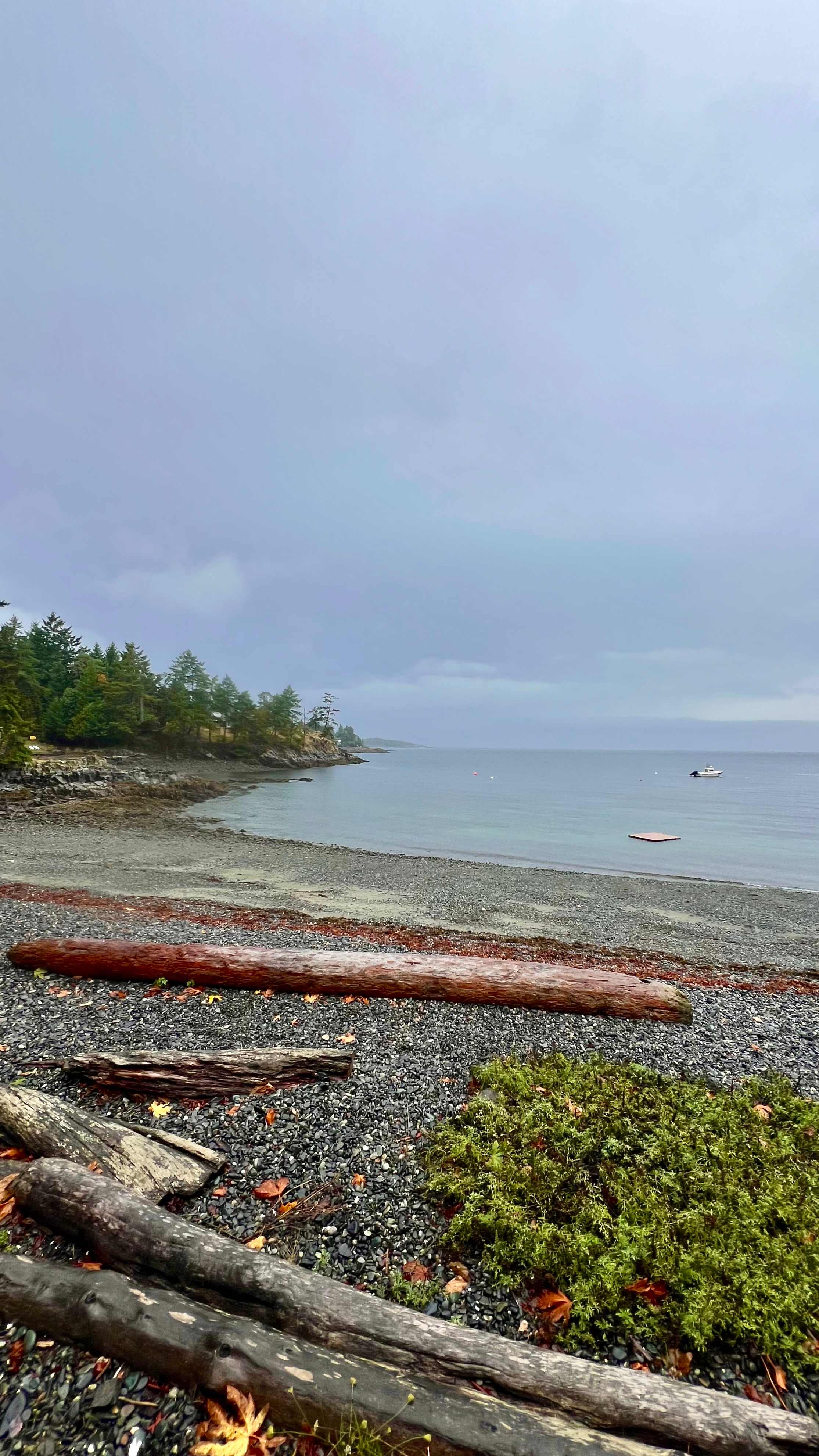 Come & stay at Nuttal bay